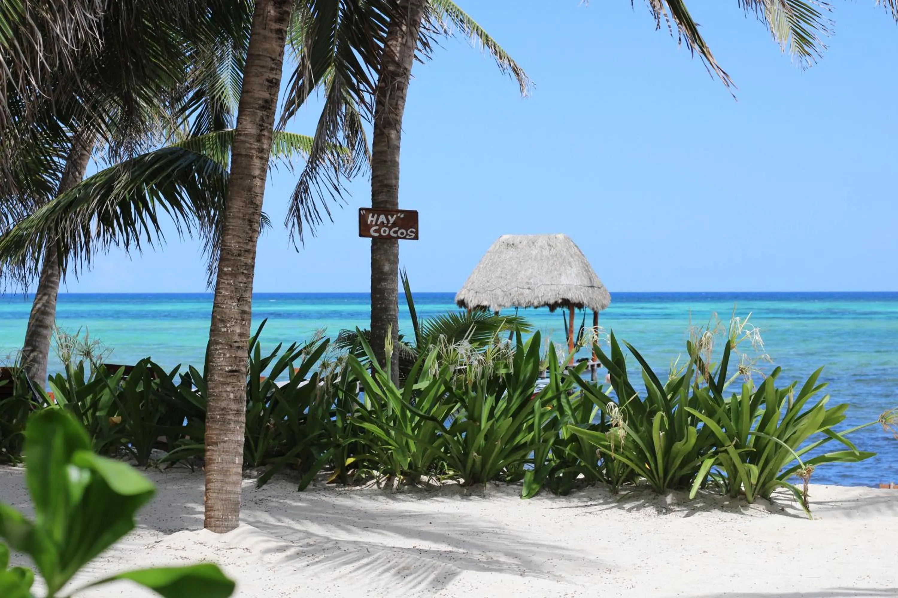 Beach in Casa Colibrí Tankah