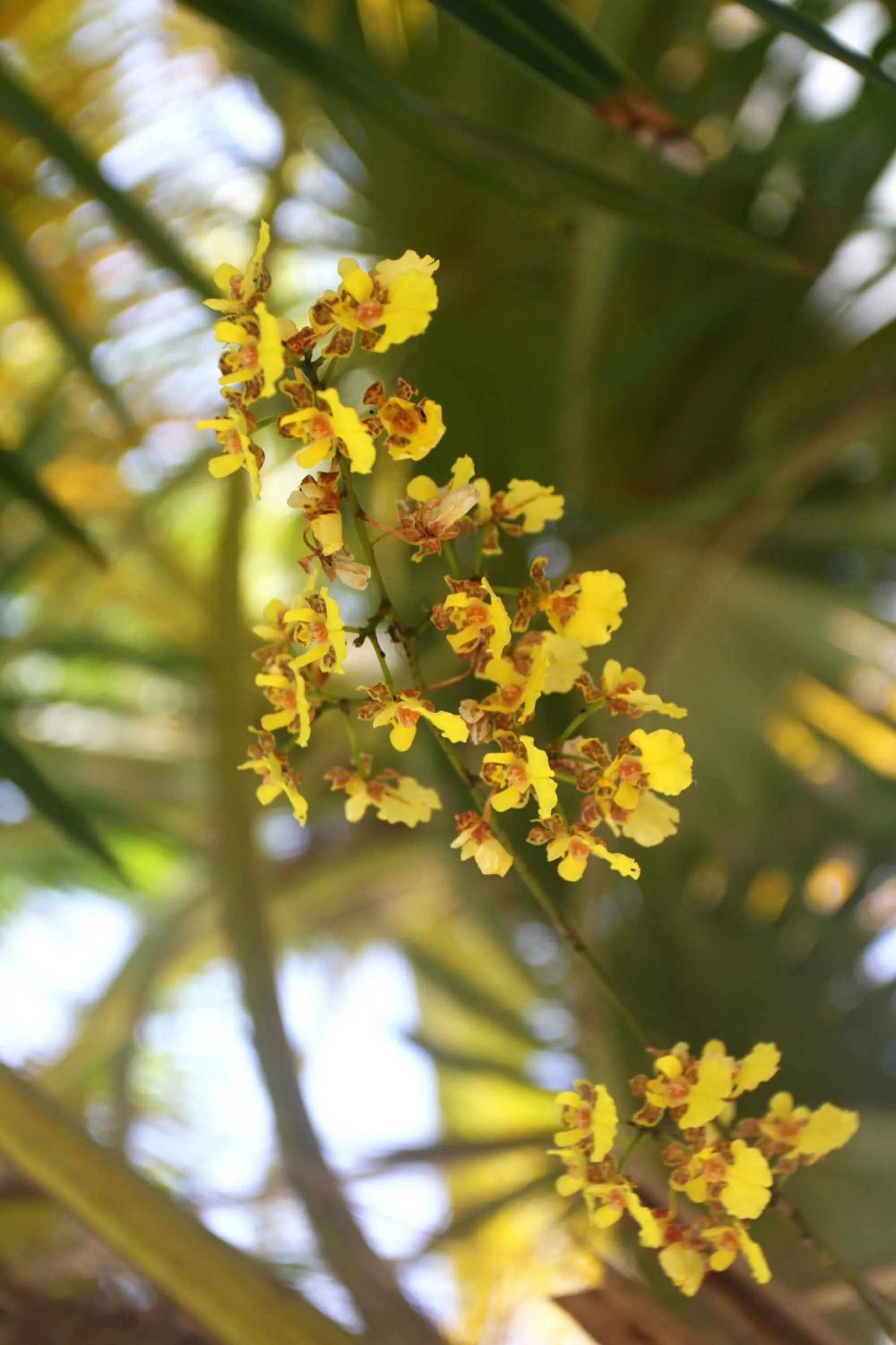 Natural landscape in Casa Colibrí Tankah