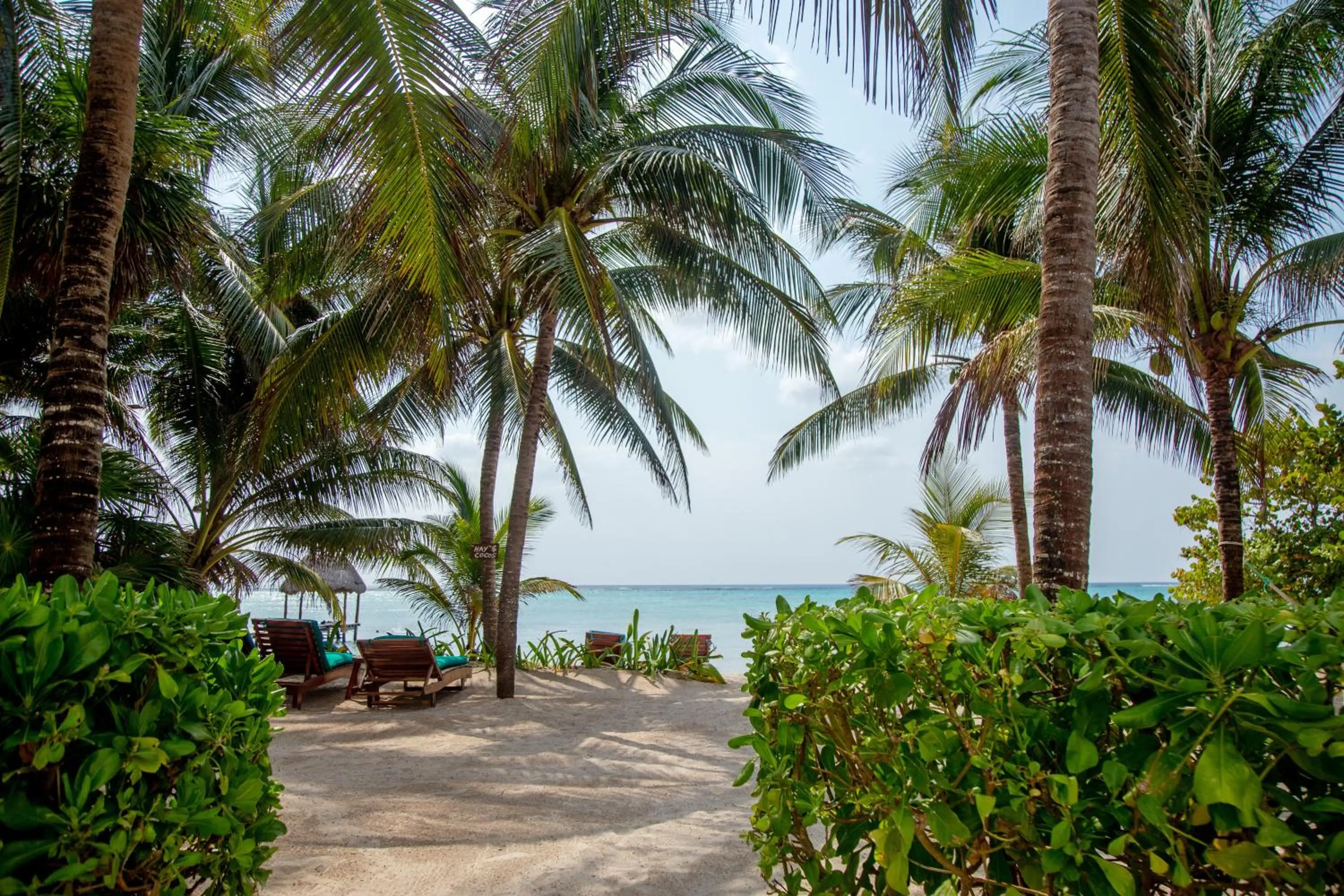 View (from property/room) in Casa Colibrí Tankah