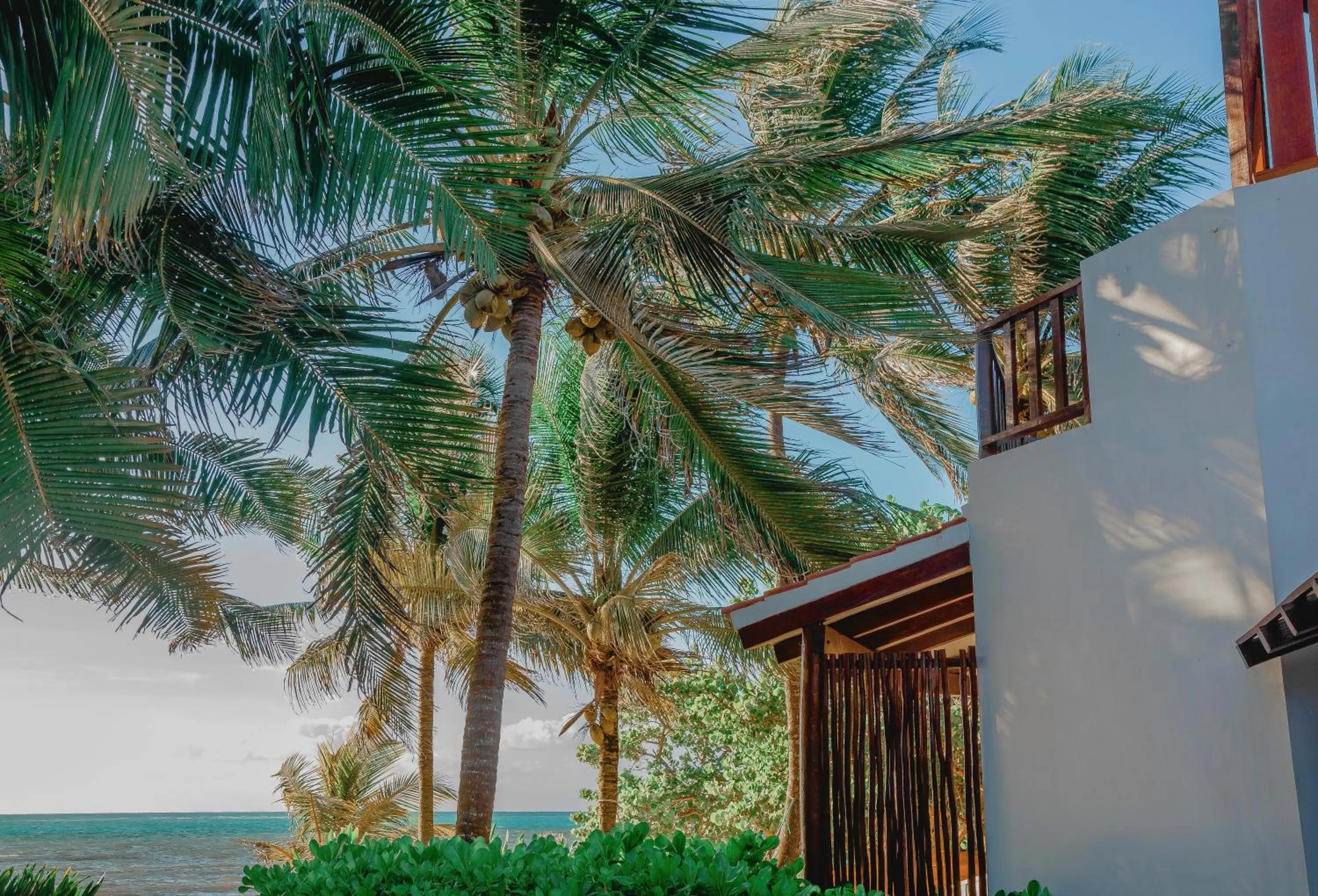 Property building in Casa Colibrí Tankah