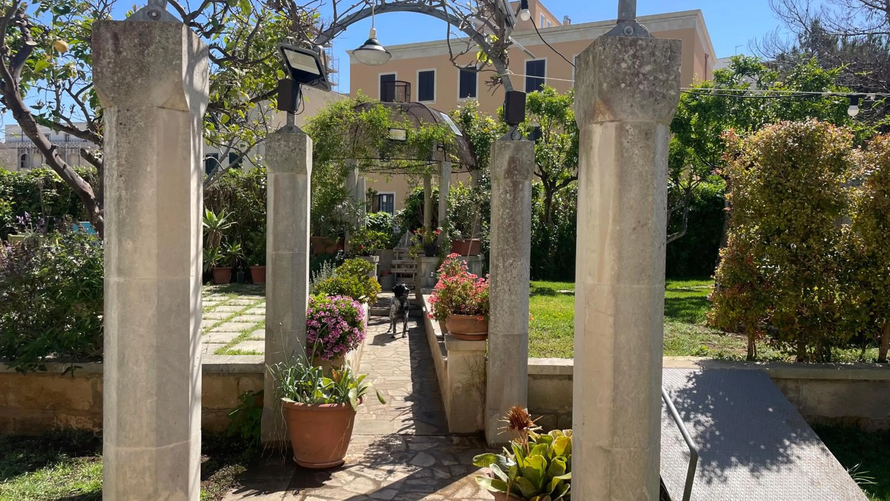 Garden in B&b Ophelia