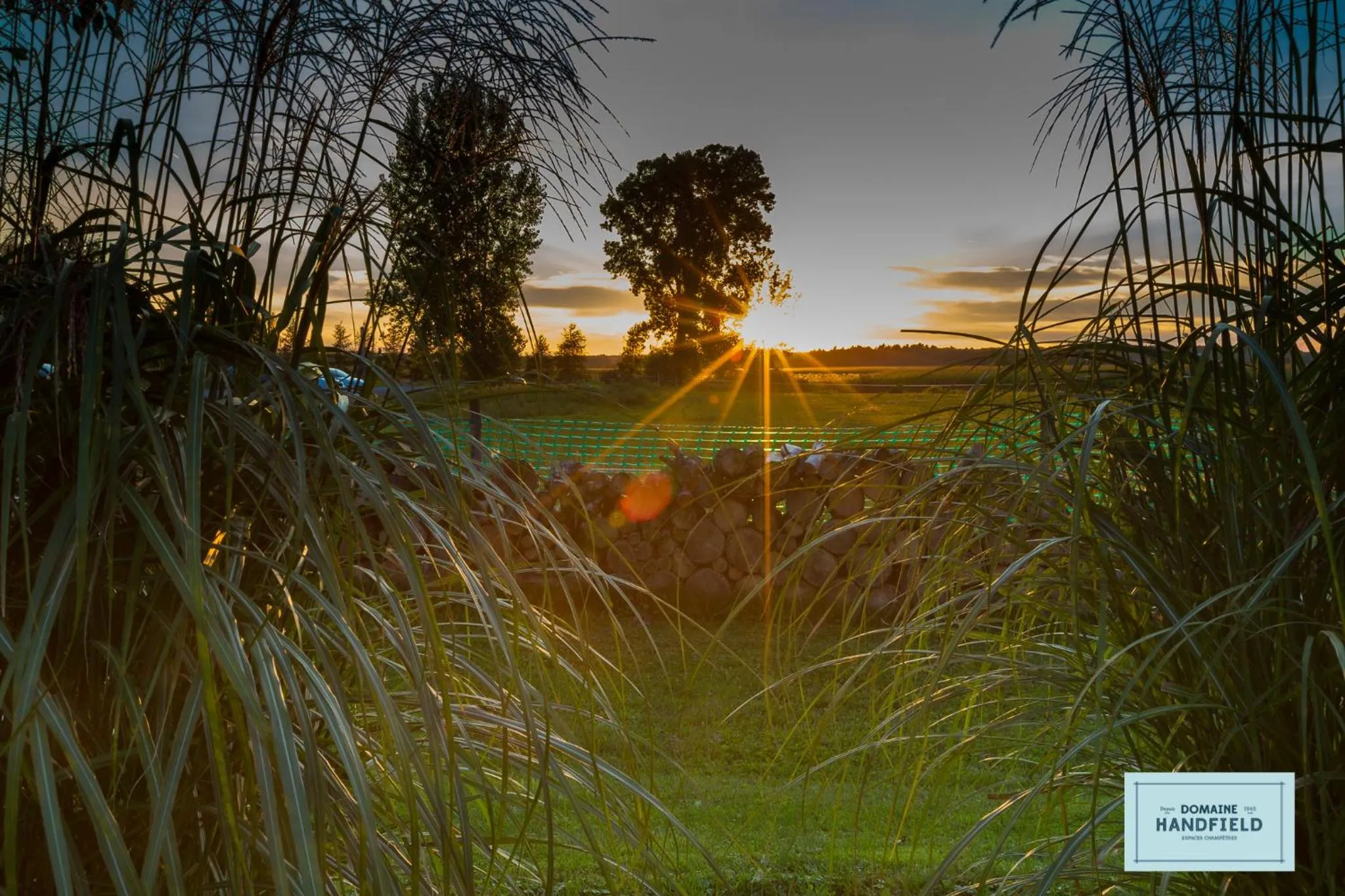 Natural landscape in Auberge Handfield et Spa