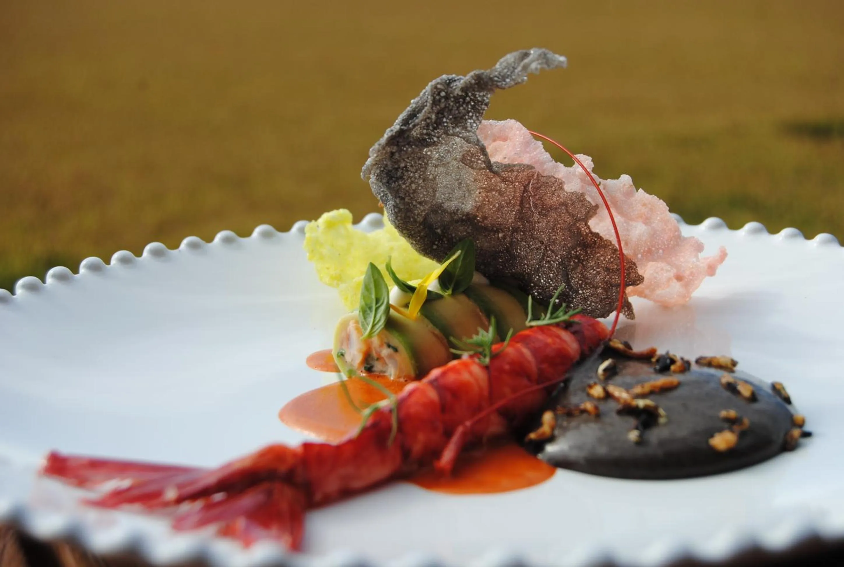 Lunch in Quinta Da Comporta - Wellness Boutique Resort