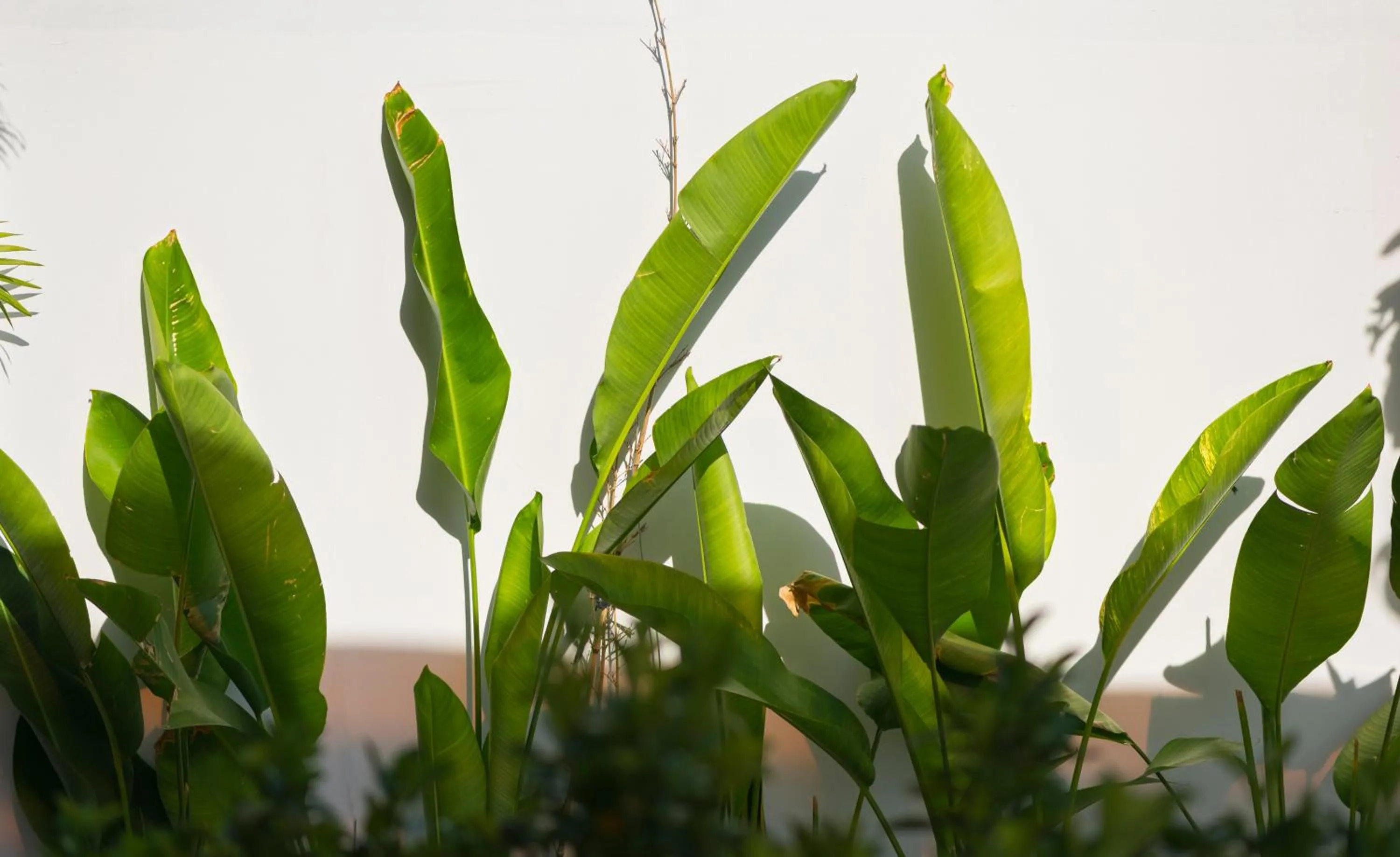 Natural landscape in Saclo Villa and Hostel