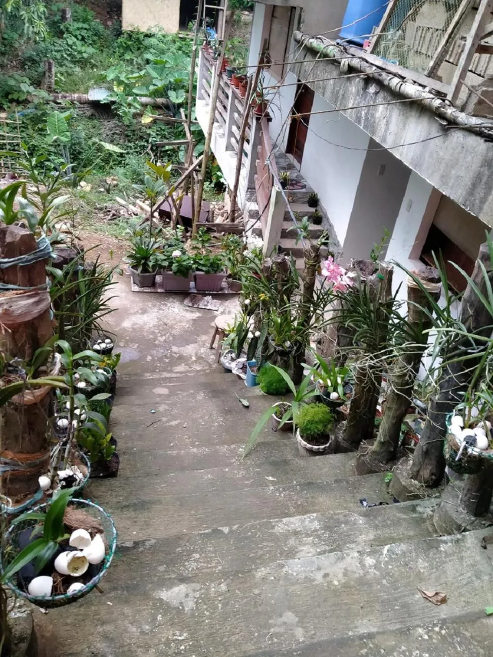 Other in D'MESA Seacretlodge and Restaurant