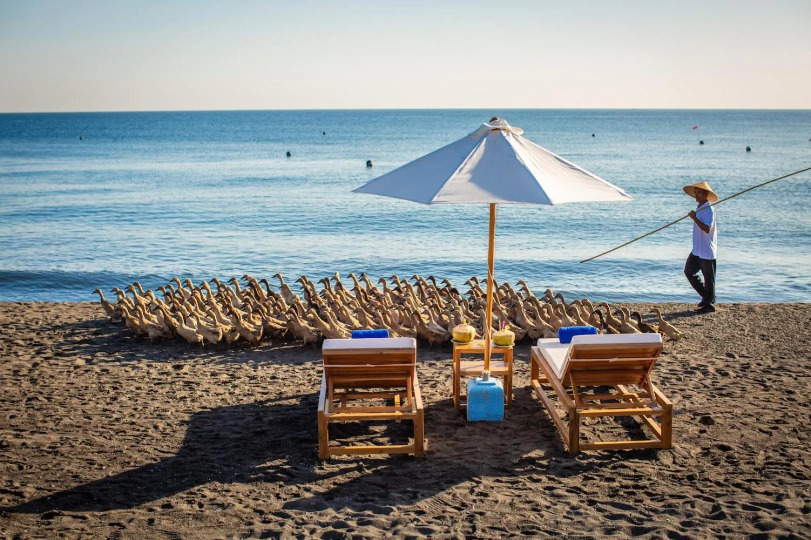Beach in Nalika Beach Resort - Adults Only