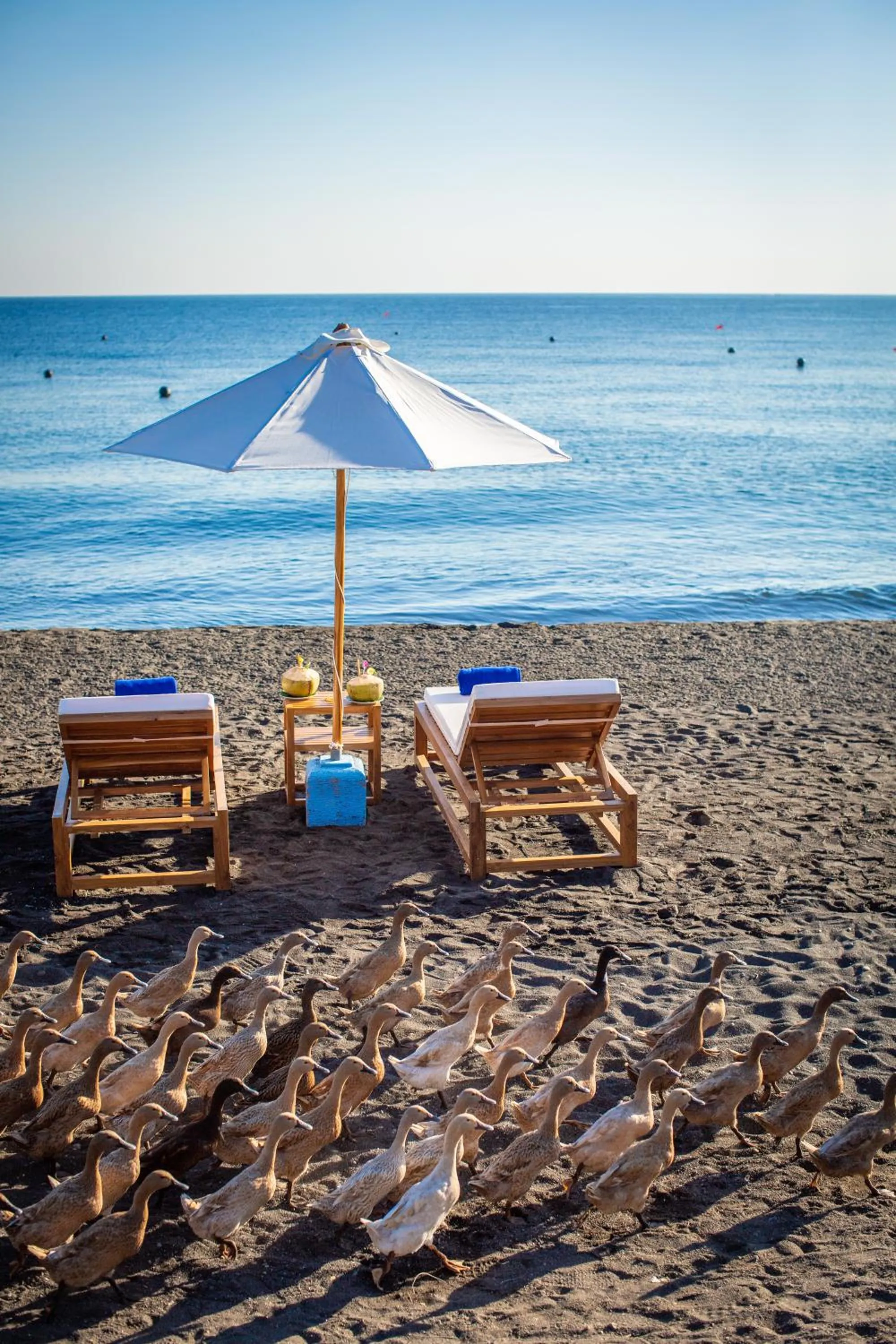 Beach in Nalika Beach Resort - Adults Only