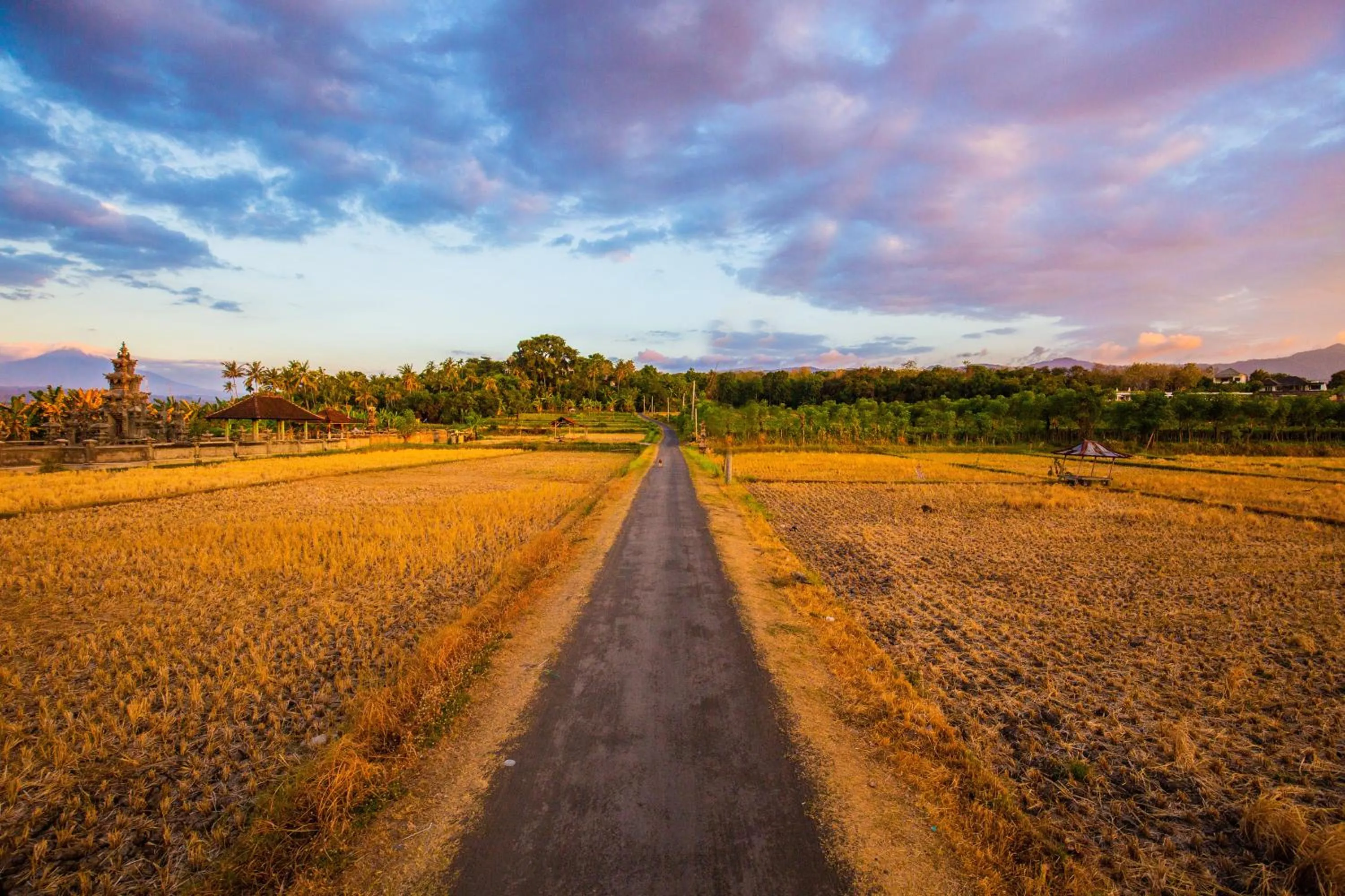 Natural landscape in Nalika Beach Resort - Adults Only