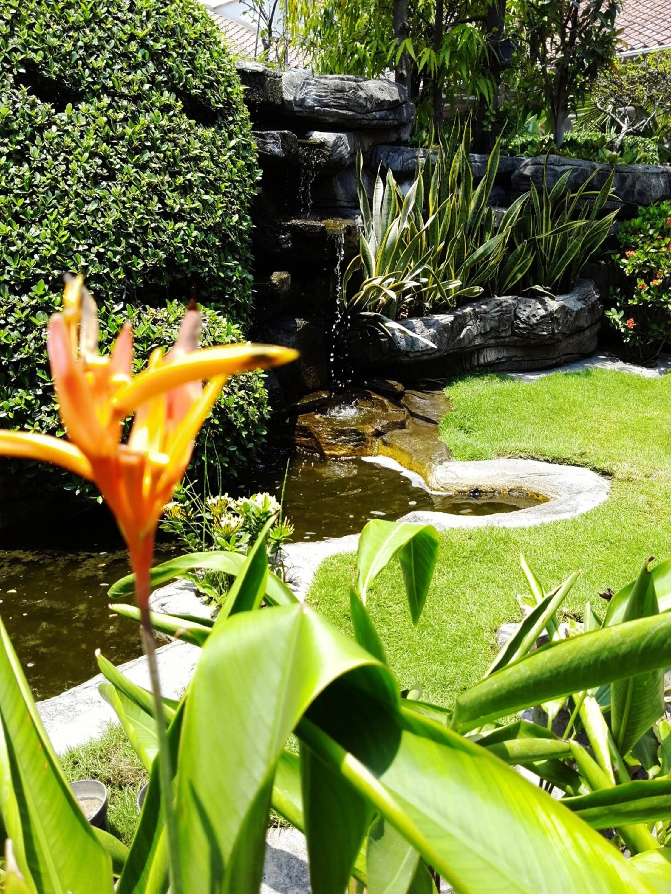 Garden in HOTEL ASRI CIREBON