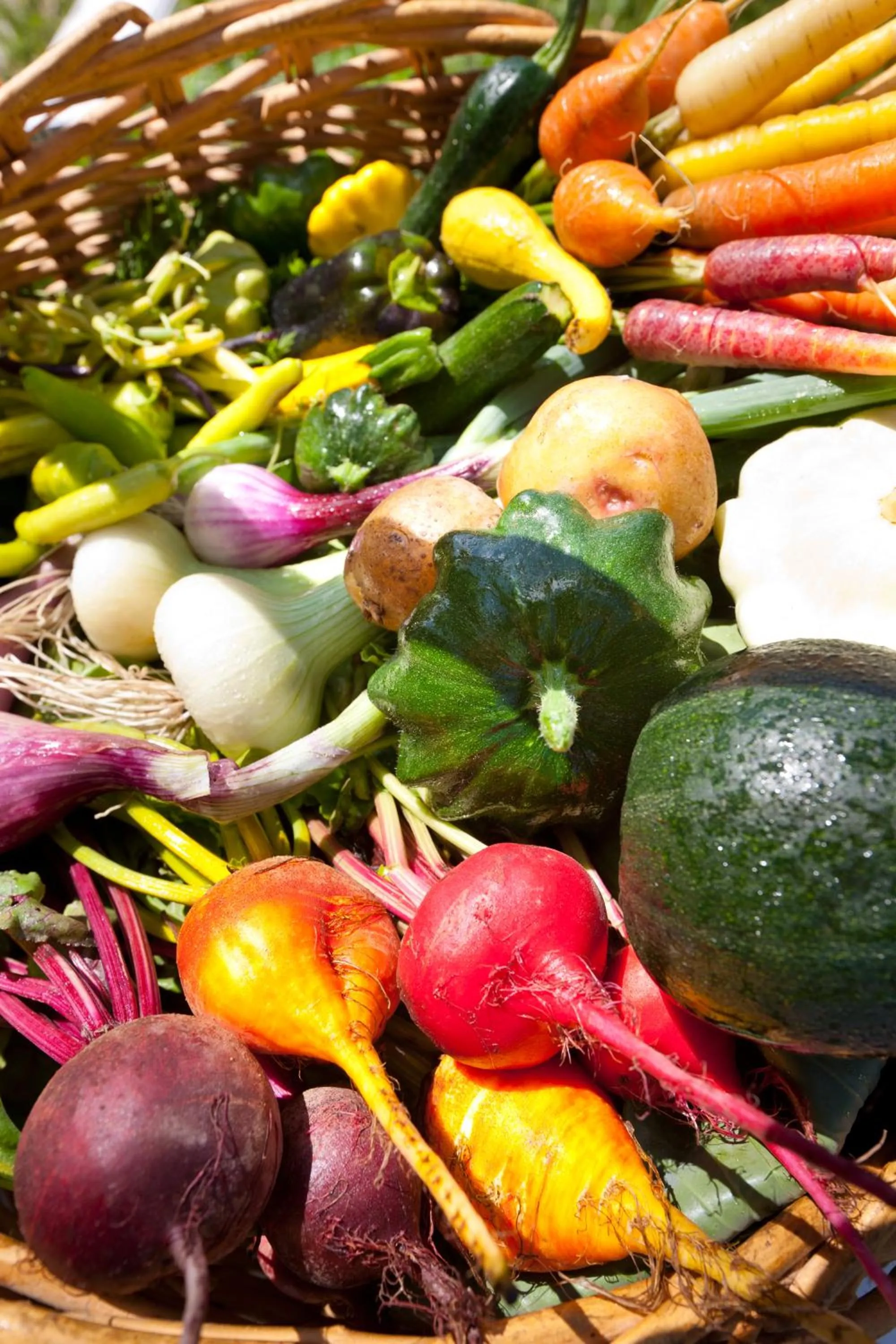 Garden in Auberge West Brome