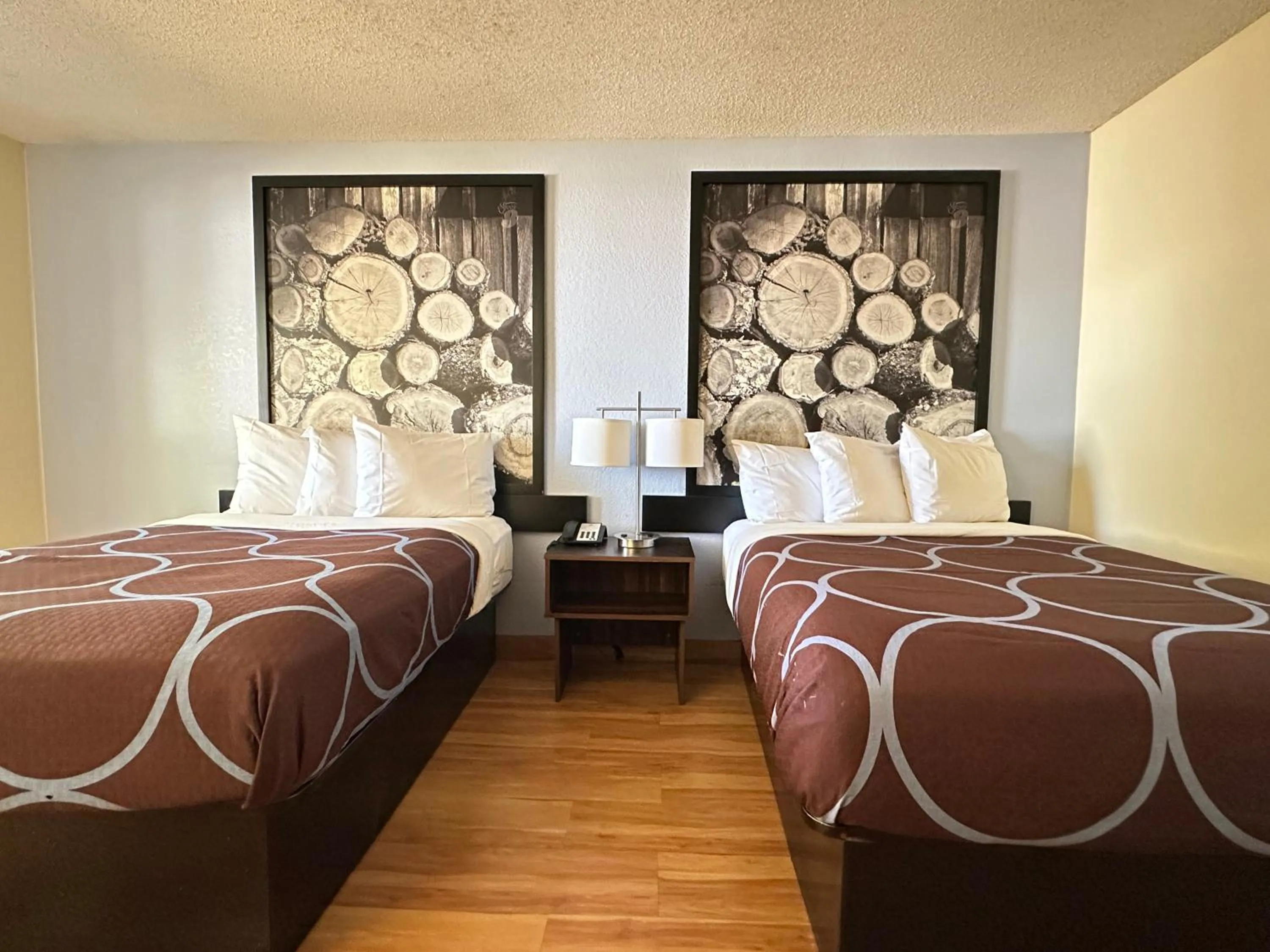 Bed in Super 8 by Wyndham Farmville