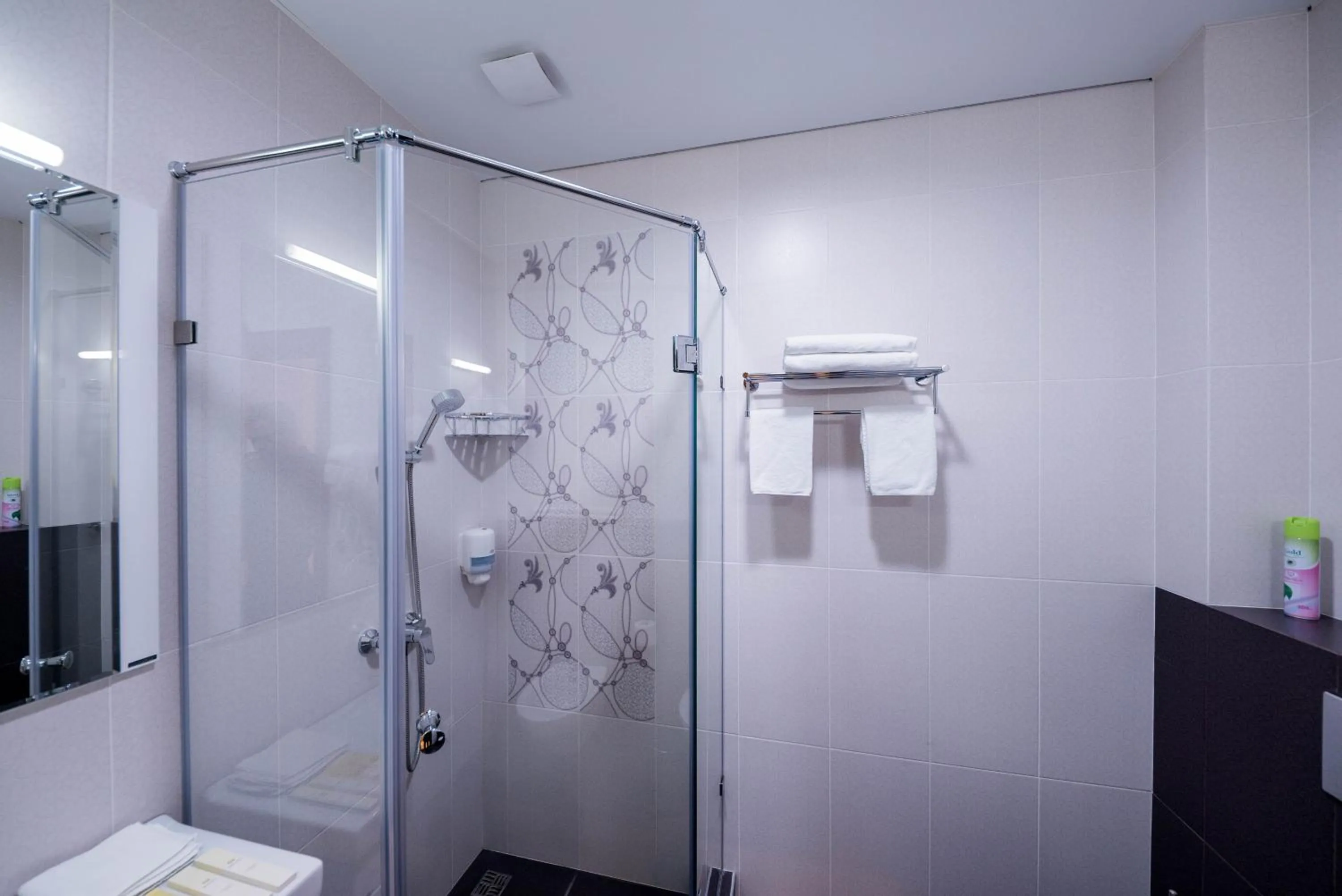 Bathroom in Oasis Residence