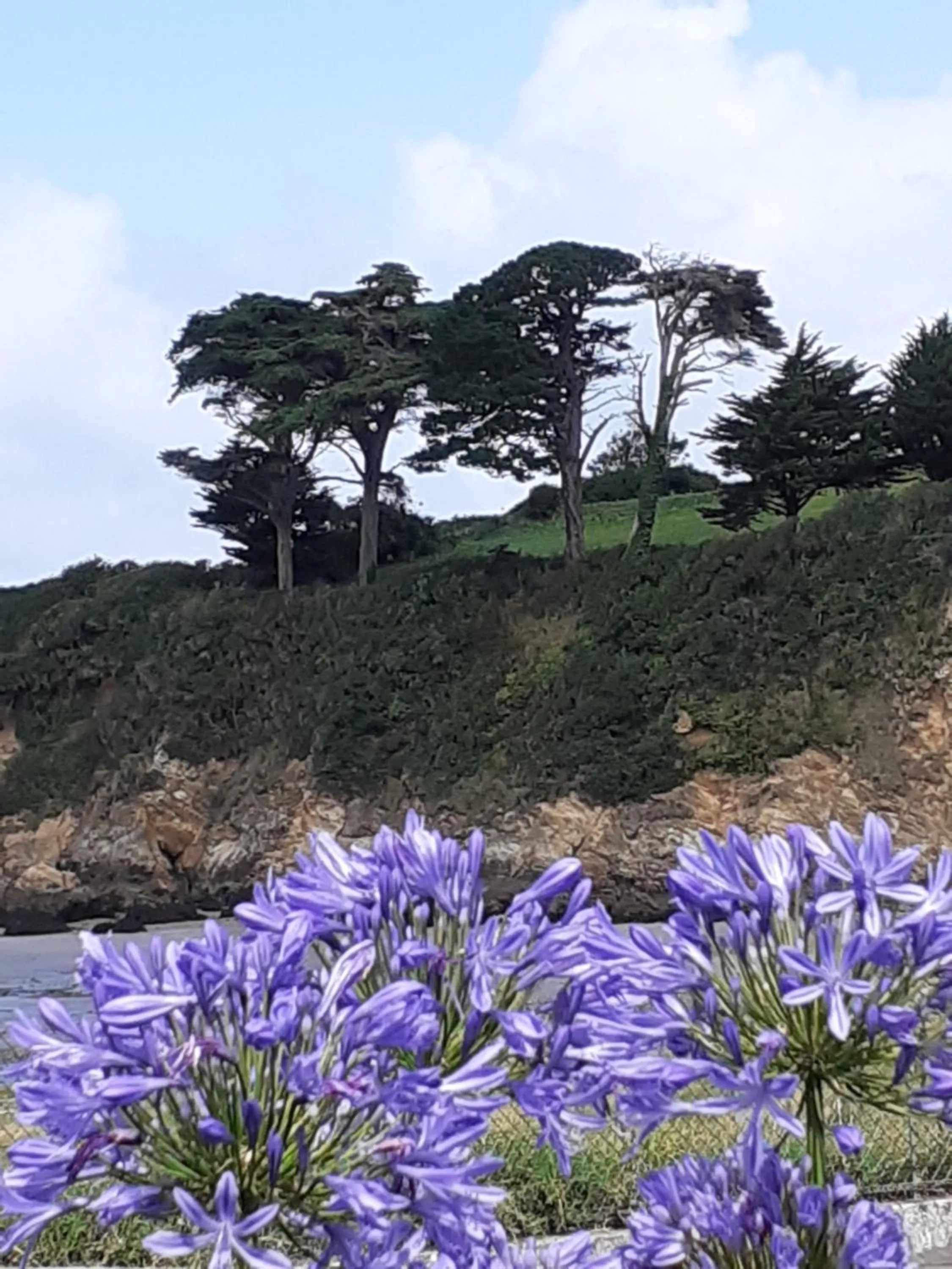 Natural landscape in Izella