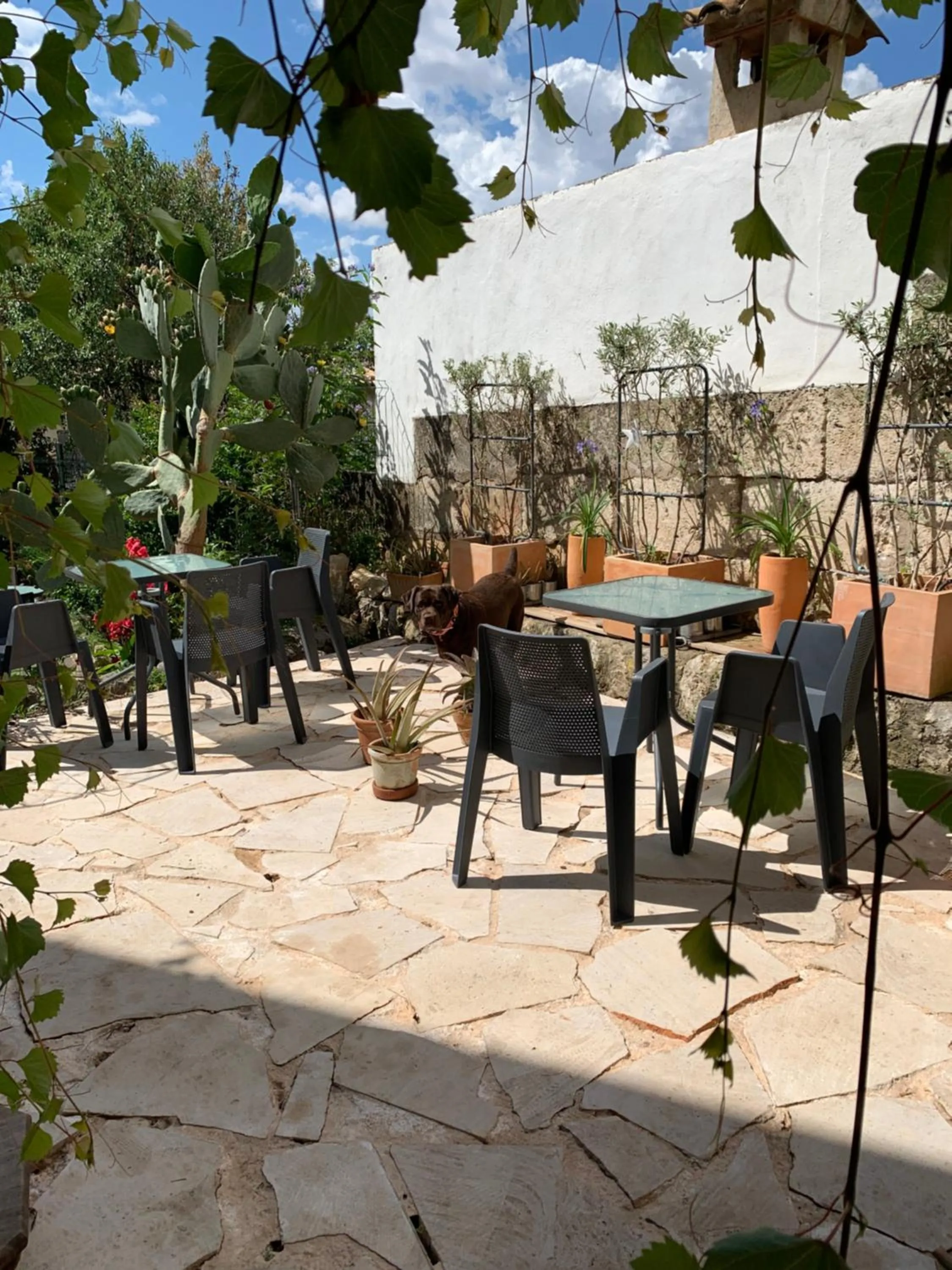 Casa Caimari Guest House, for mountain lovers!