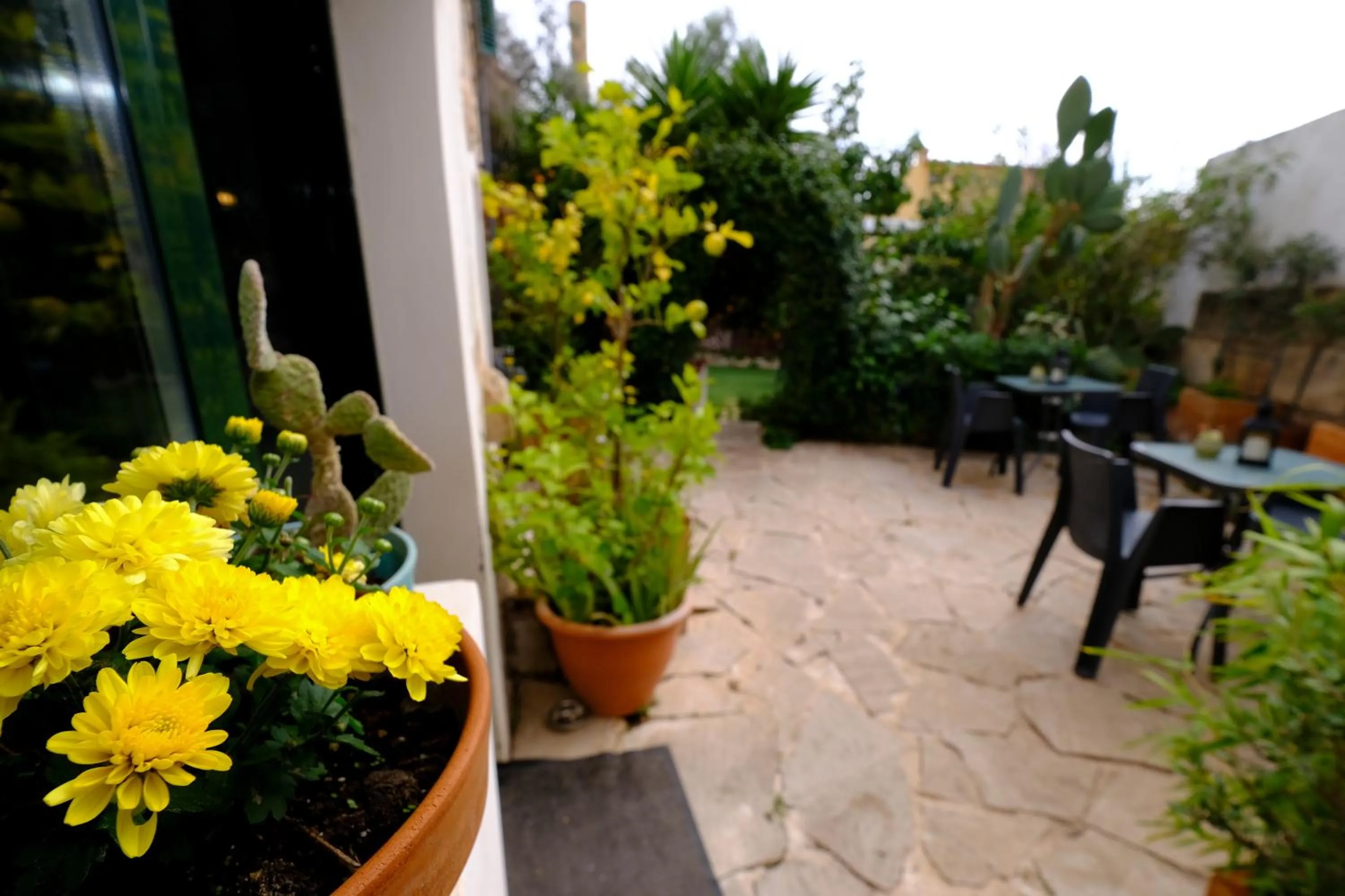 Casa Caimari Guest House, for mountain lovers!