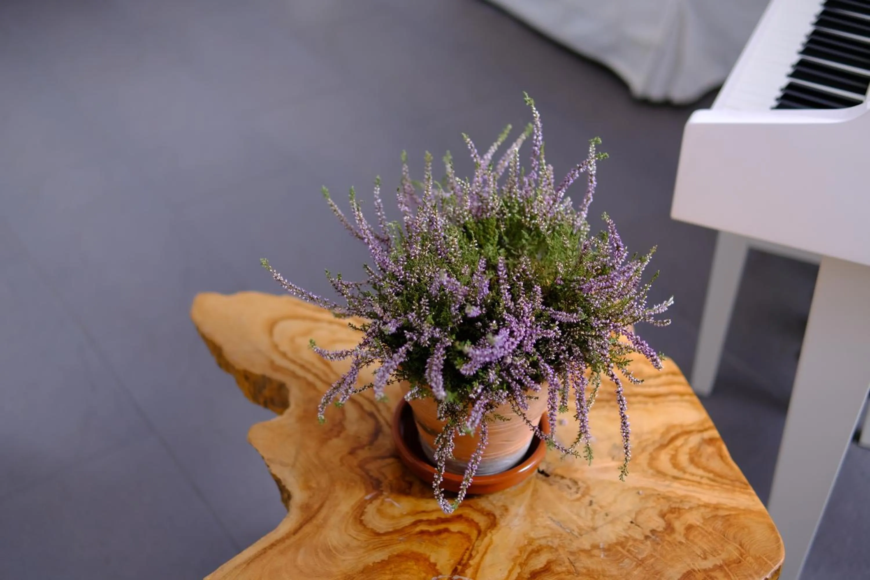 Casa Caimari Guest House, for mountain lovers!