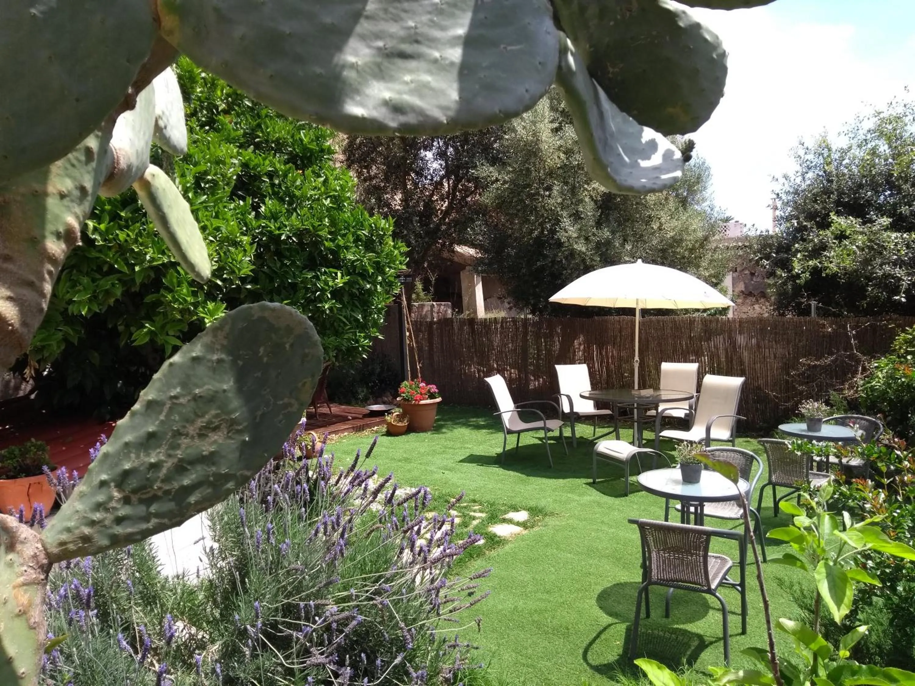 Mountain view in Casa Caimari Guest House, for mountain lovers!