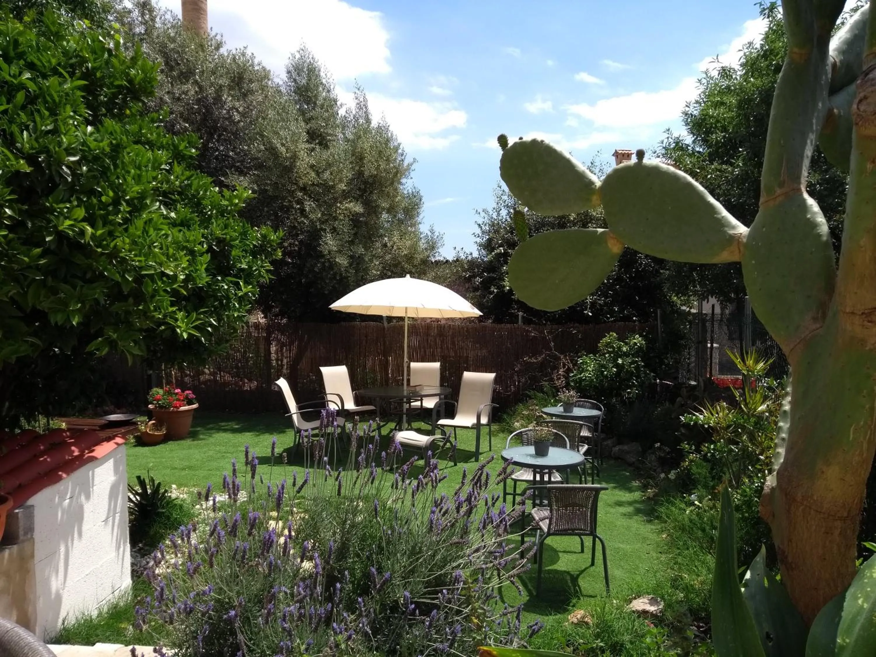 Garden in Casa Caimari Guest House, for mountain lovers!