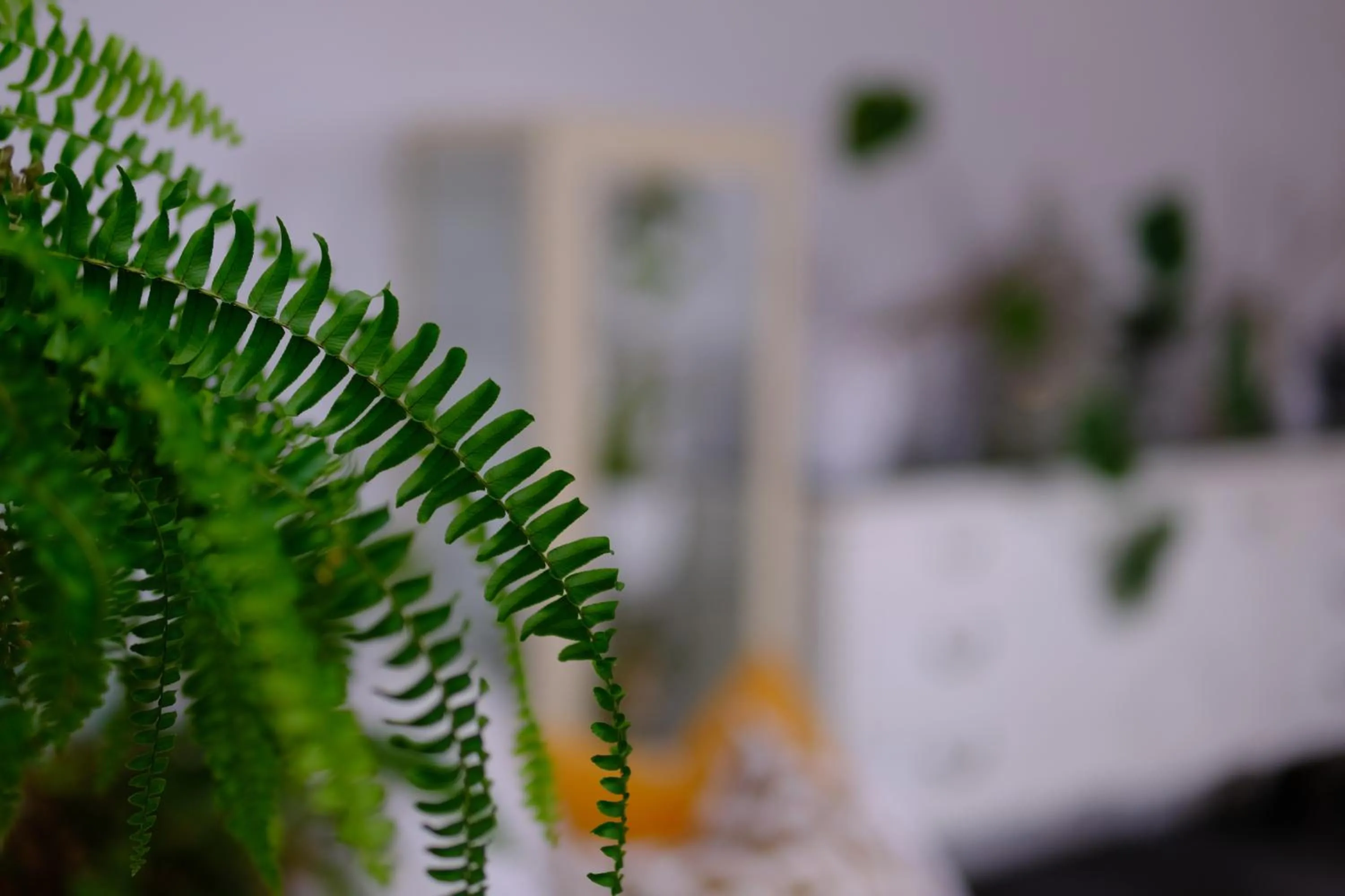 Casa Caimari Guest House, for mountain lovers!