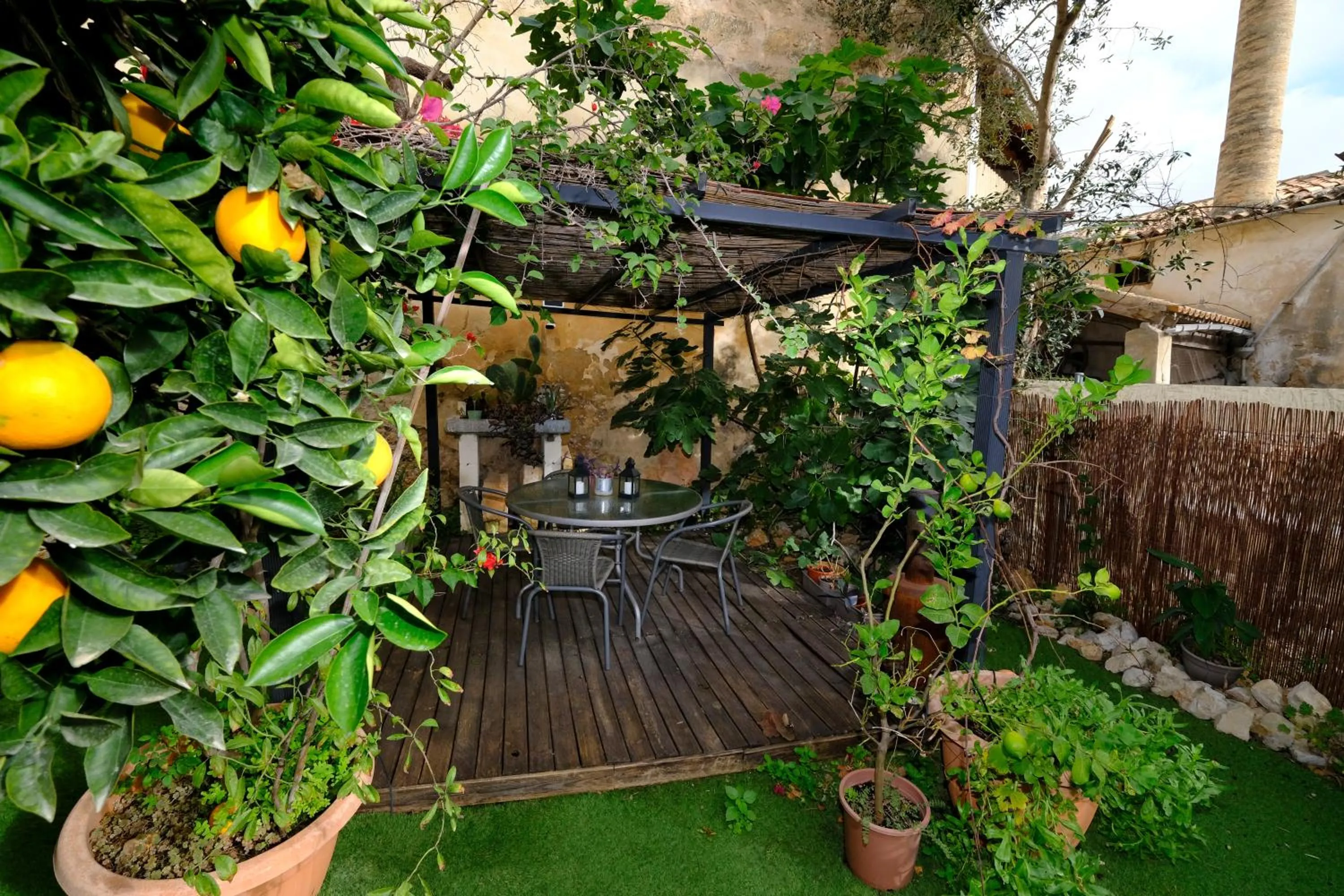 Garden in Casa Caimari Guest House, for mountain lovers!