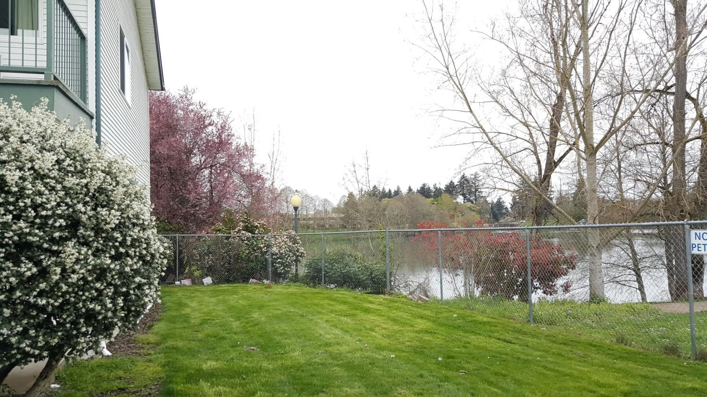 Garden view in Motel 6 Albany, OR