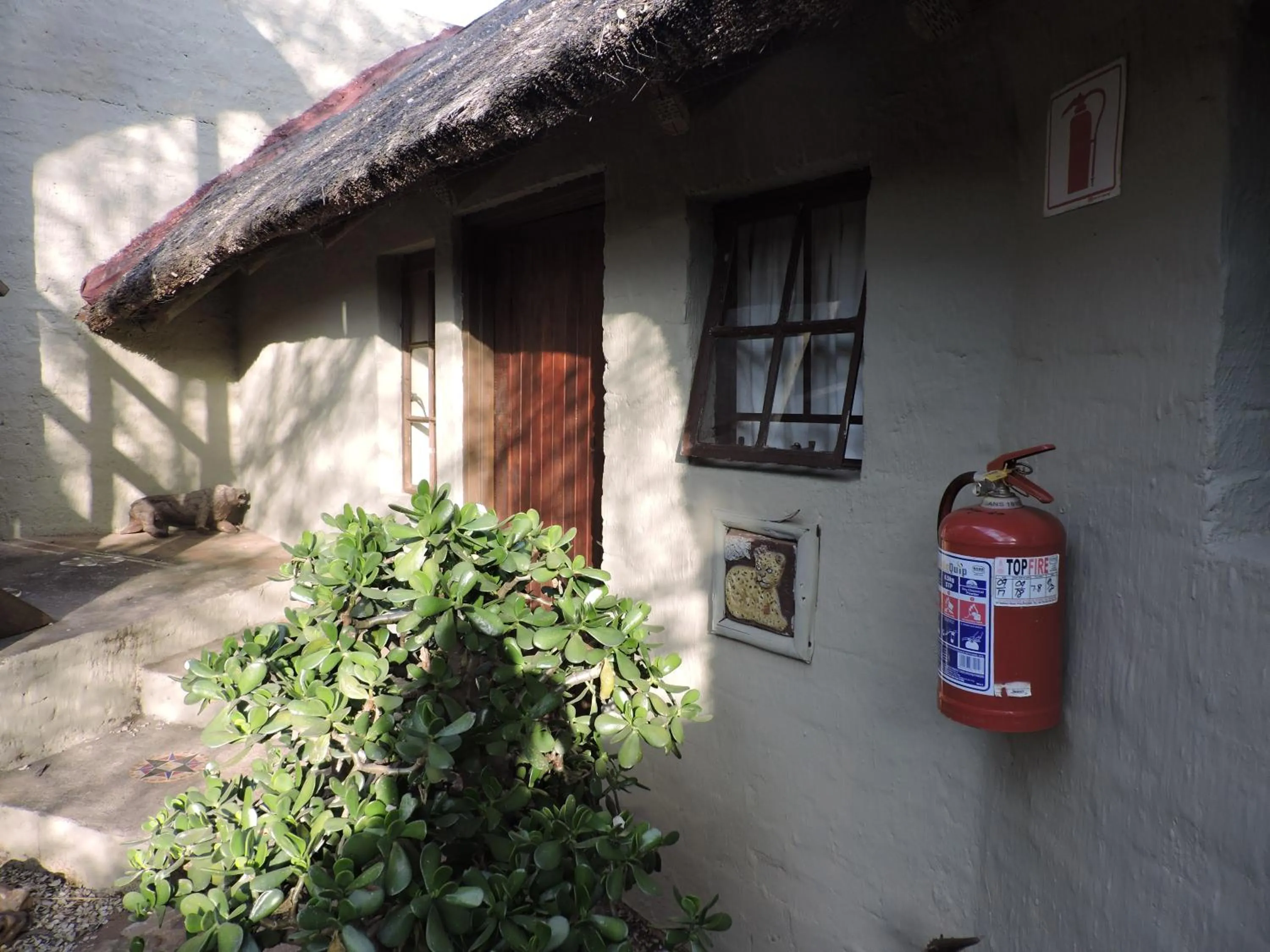 4-Bed Mixed Dormitory Room - single occupancy in Kruger Inn Backpackers