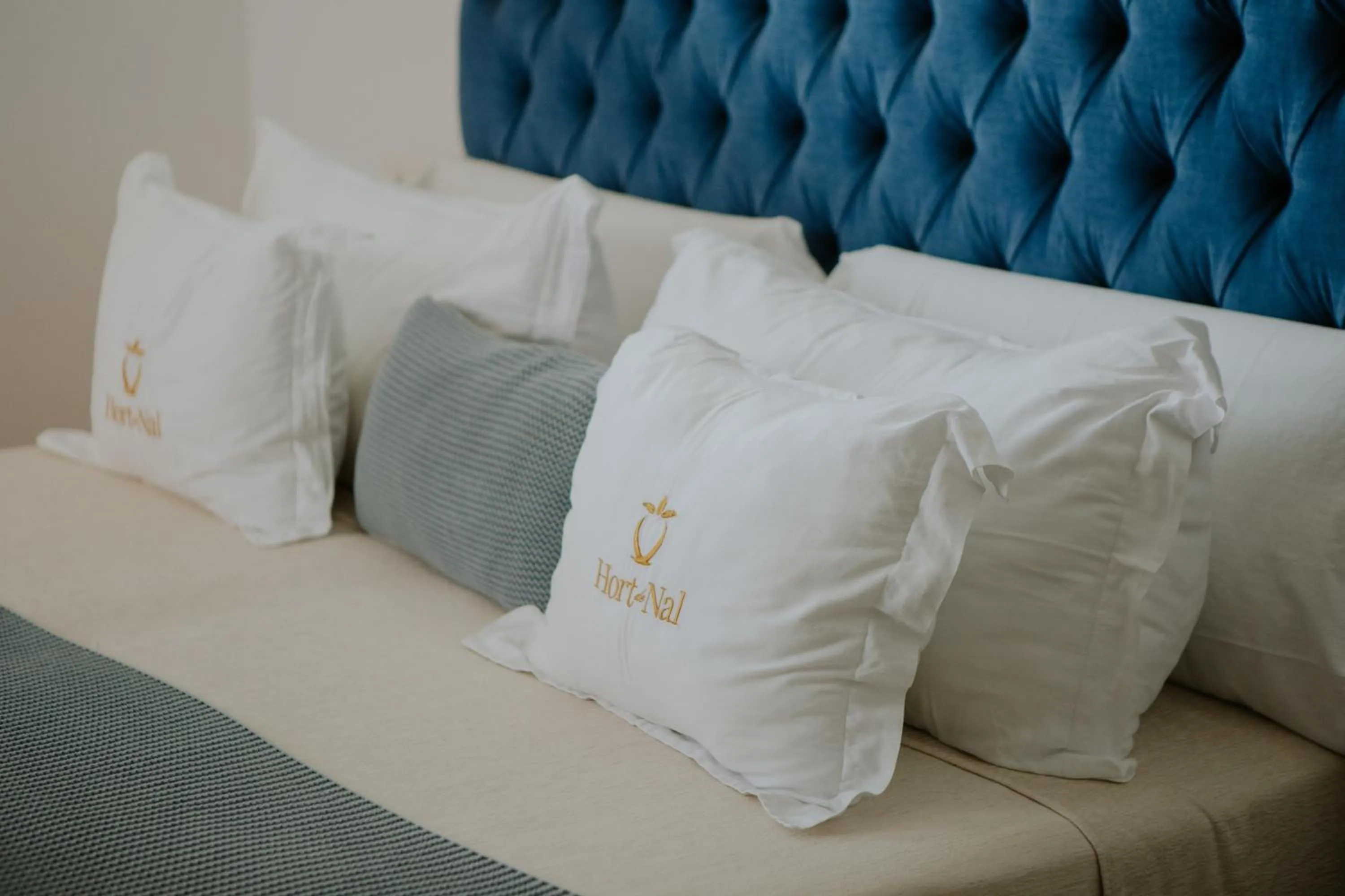 Photo of the whole room in Hotel Boutique Hort de Nal