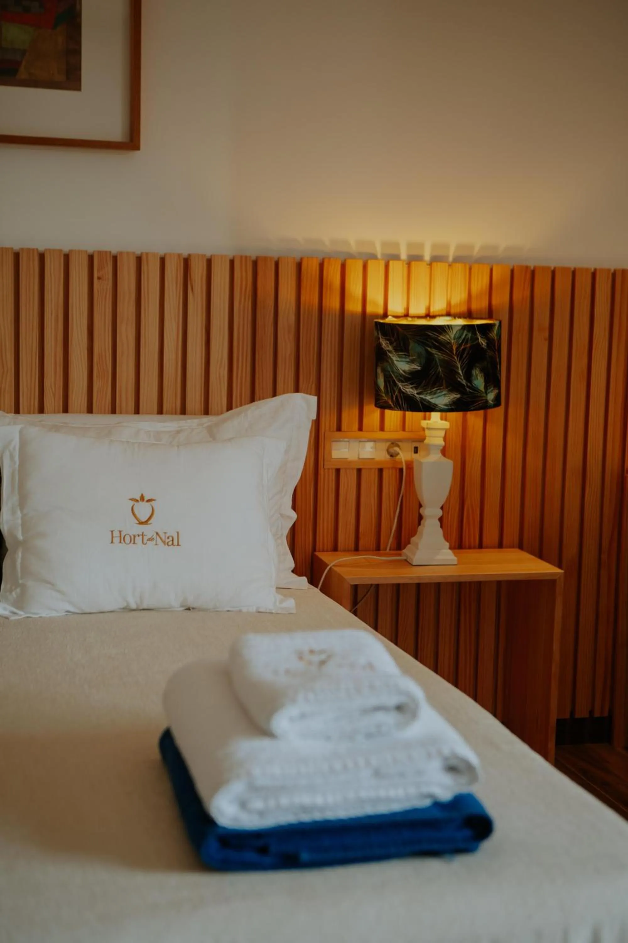 Photo of the whole room in Hotel Boutique Hort de Nal