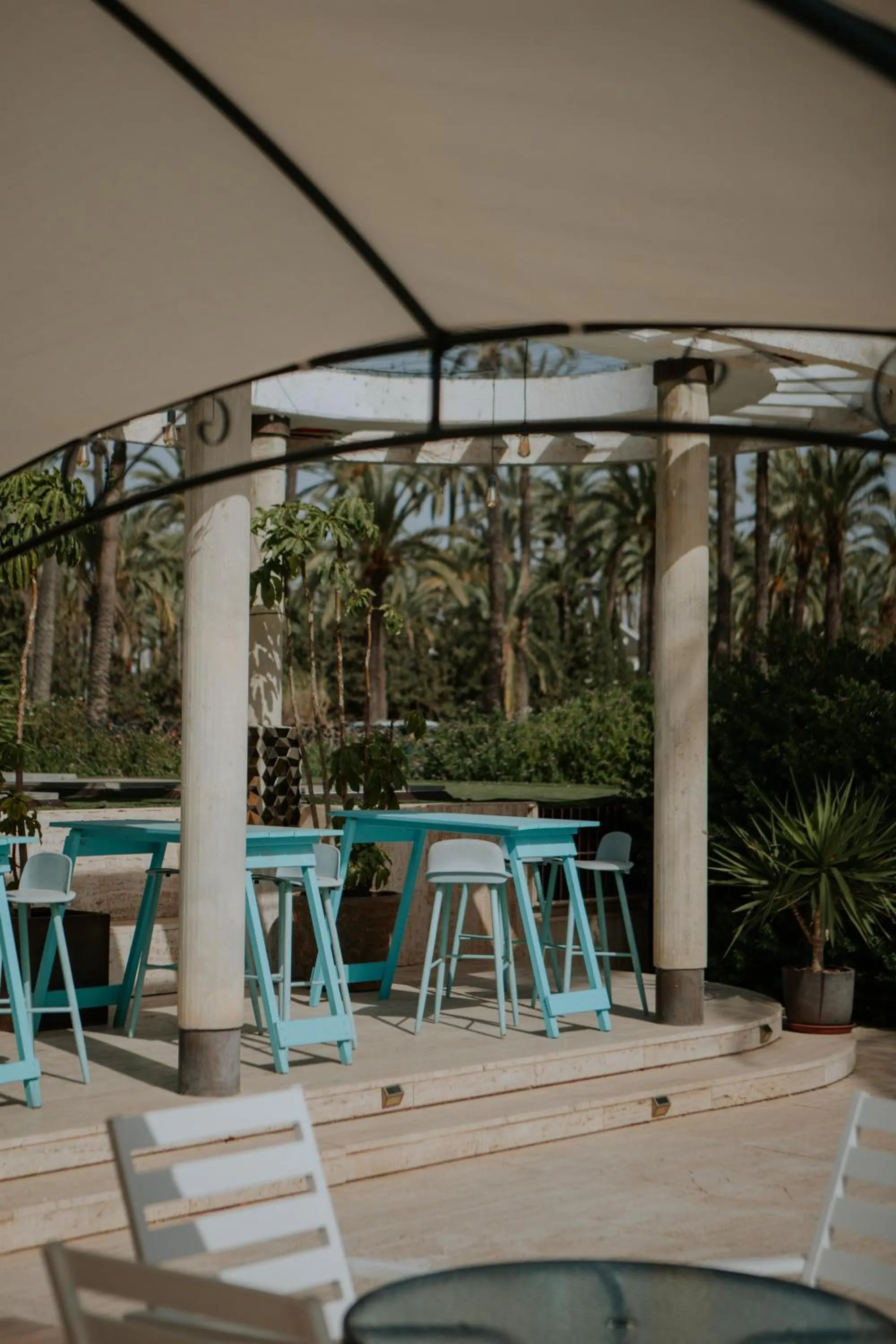 Activities in Hotel Boutique Hort de Nal