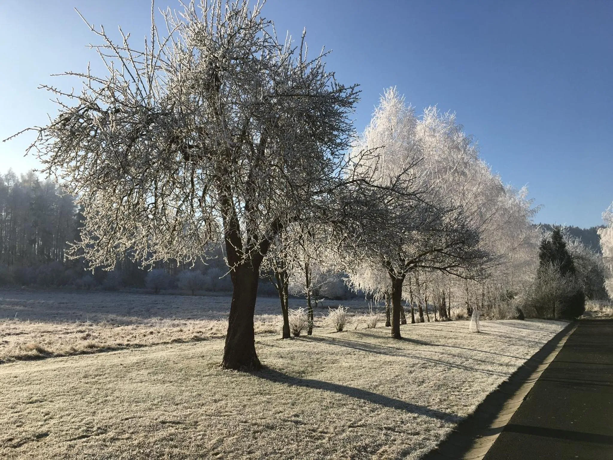 Natural landscape in VILLA BRICOLA - Boutique Apartments