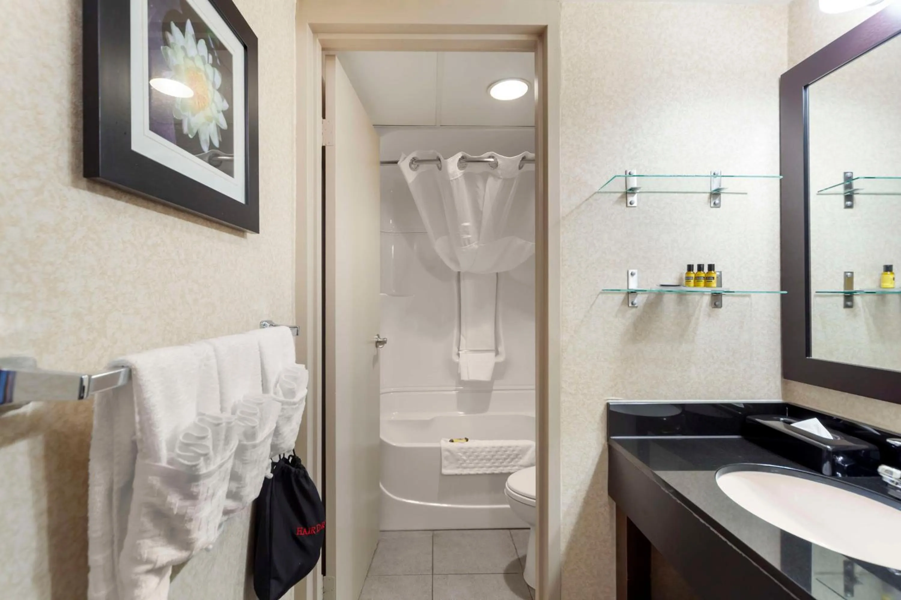 Bathroom in Best Western PLUS City Centre Inn