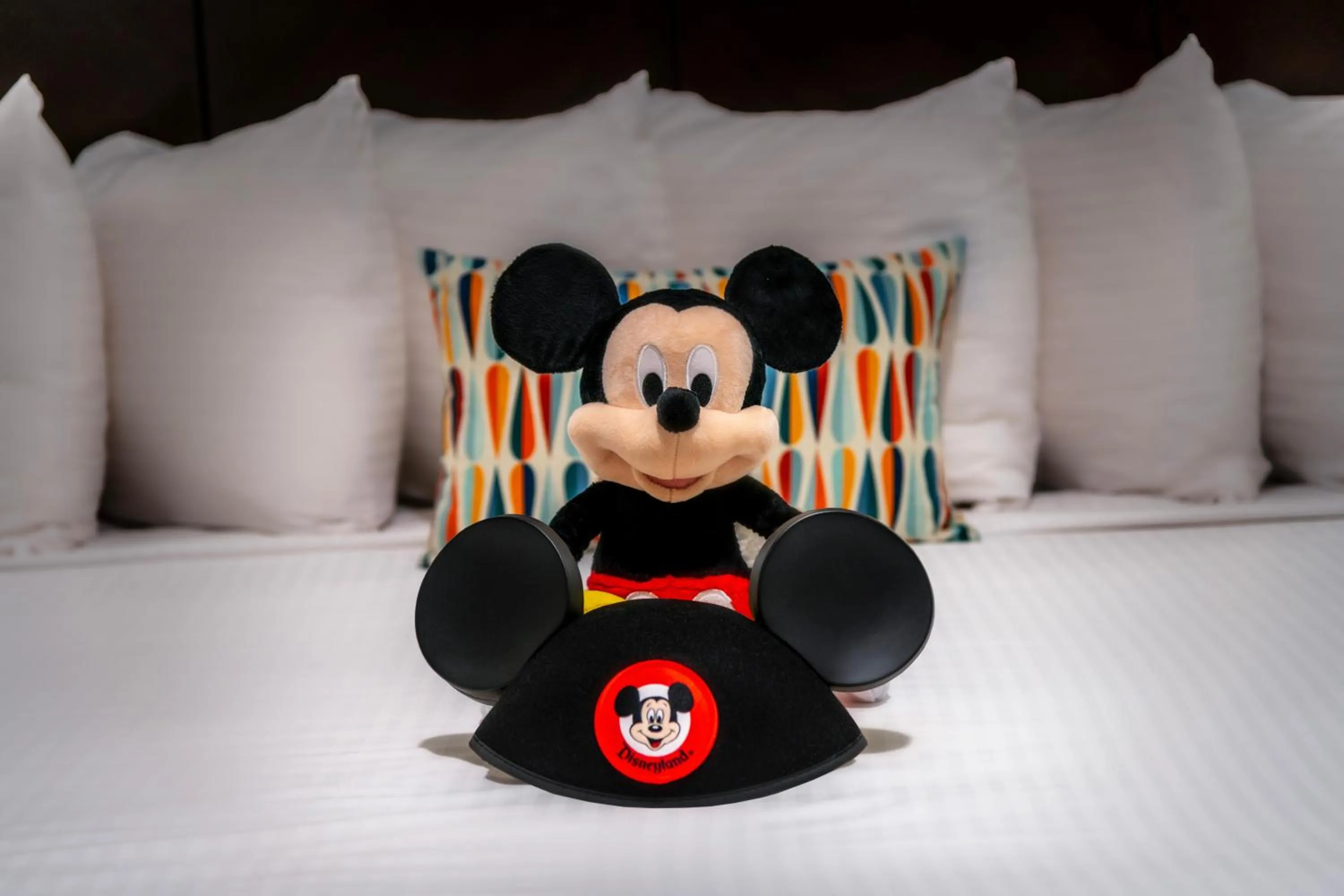 Bed in Alpine Inn near Convention Center and the Park