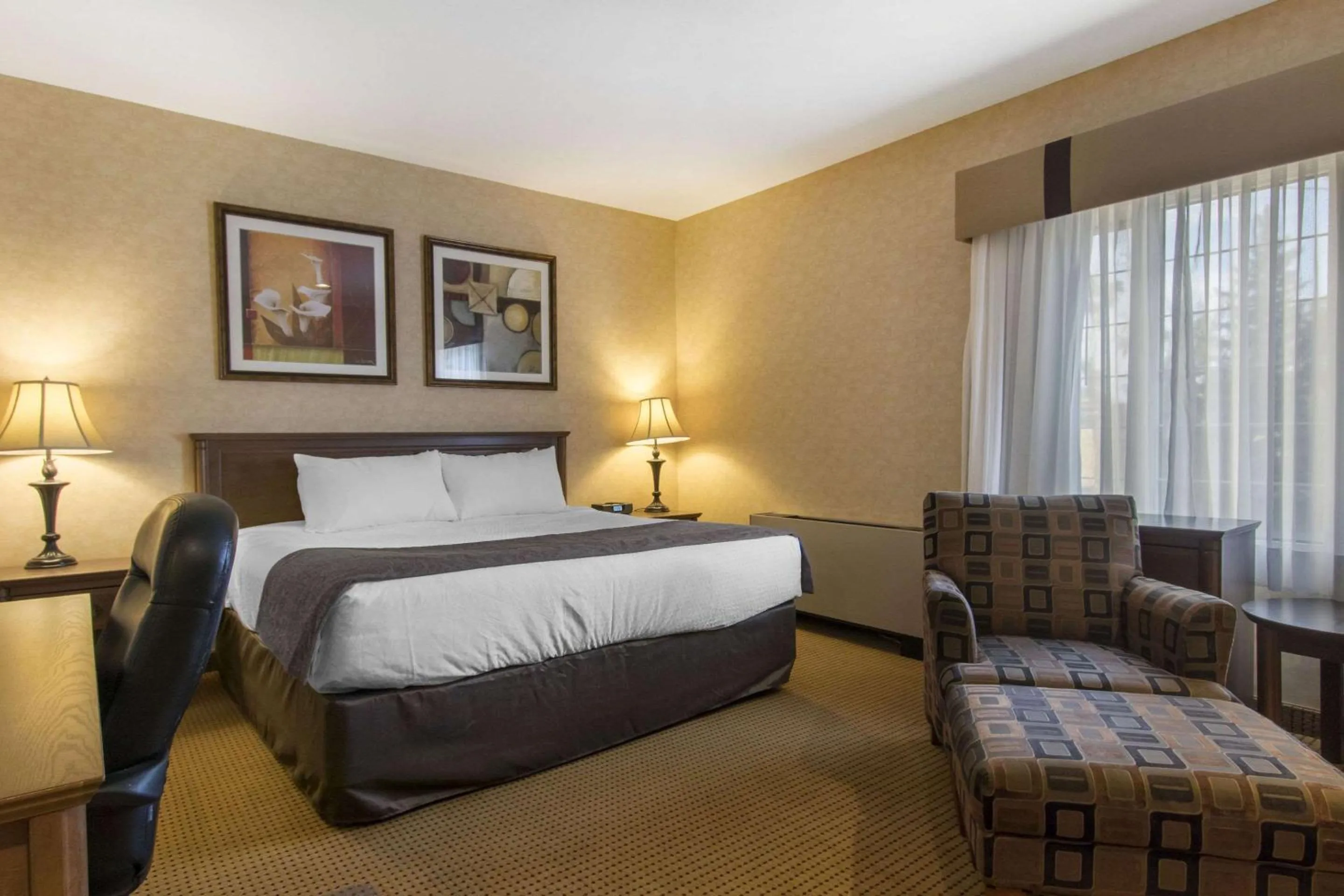 Photo of the whole room, Bed in Flamingo Hotel