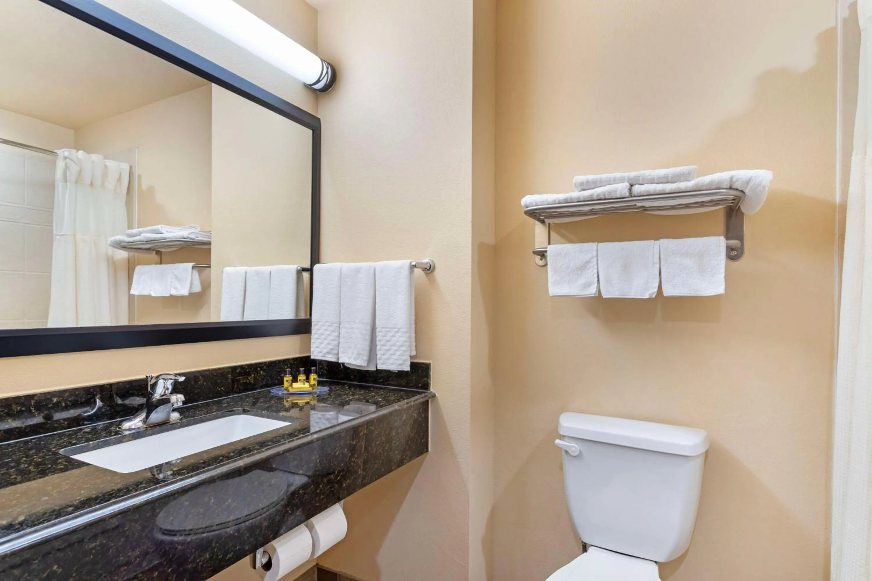 Bathroom in Best Western Plus Goliad Inn & Suites