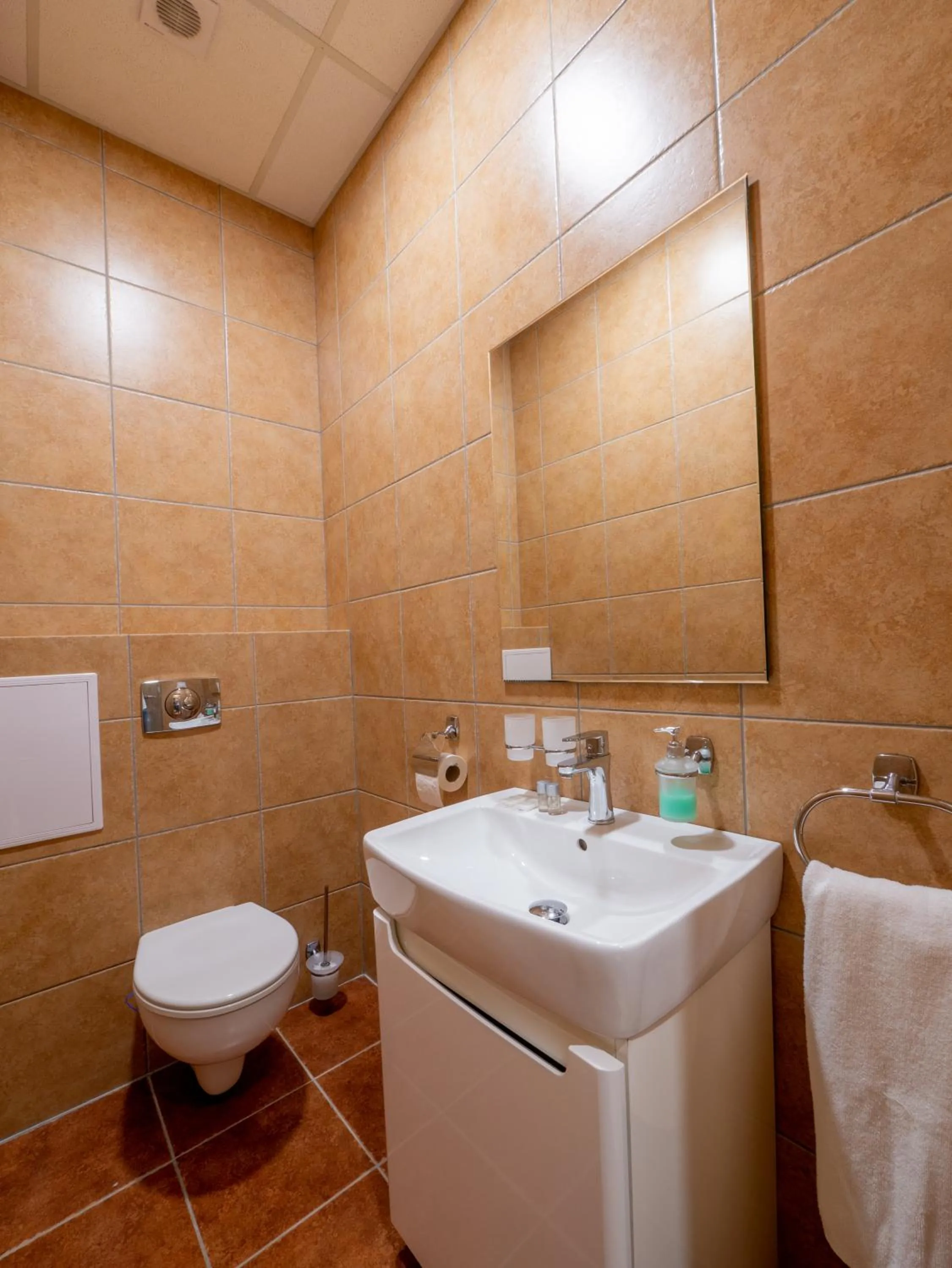 Bathroom in Apartmany Style