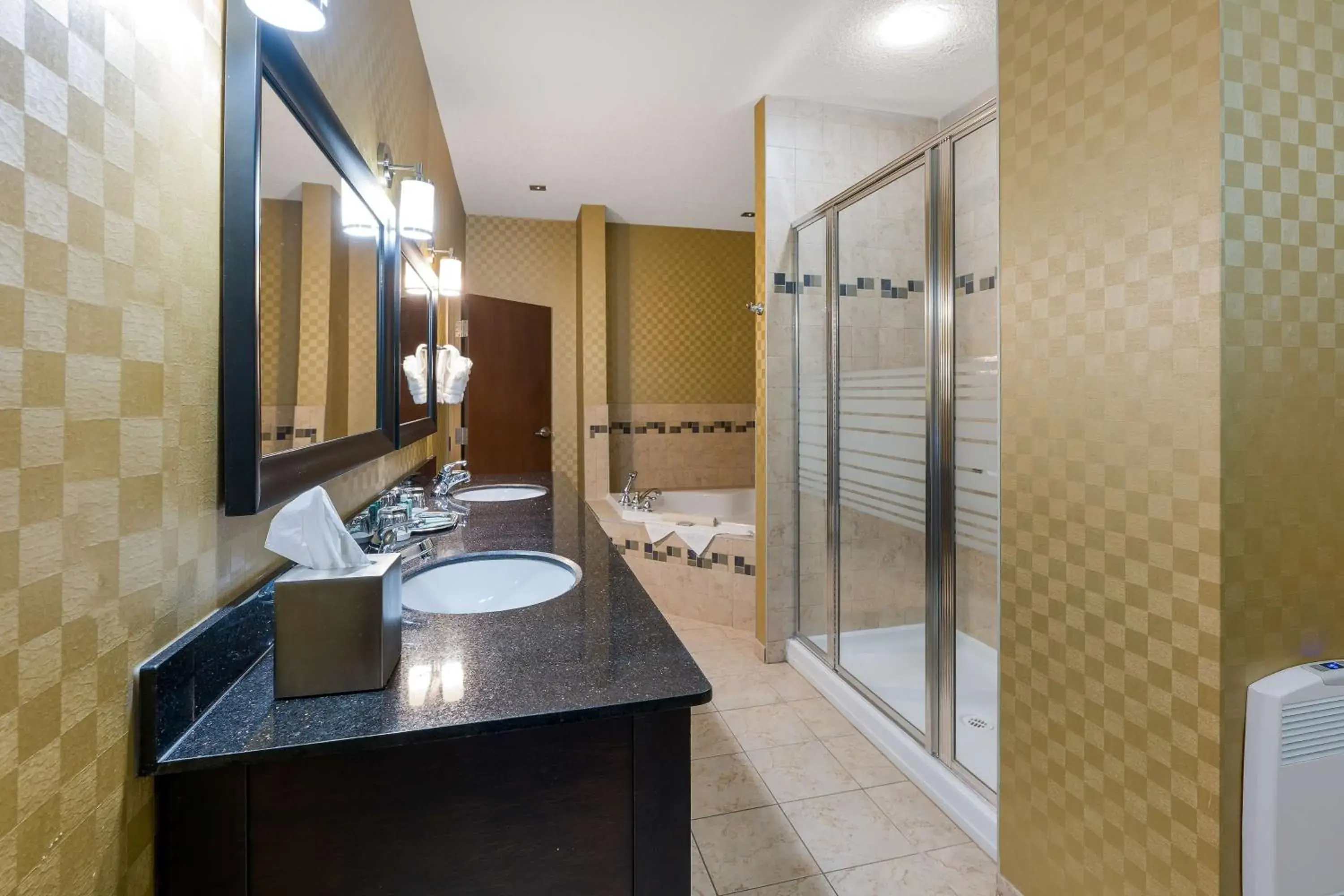 Bathroom in Best Western Sunrise Inn & Suites Bathroom in Best Western Sunrise Inn & Suites