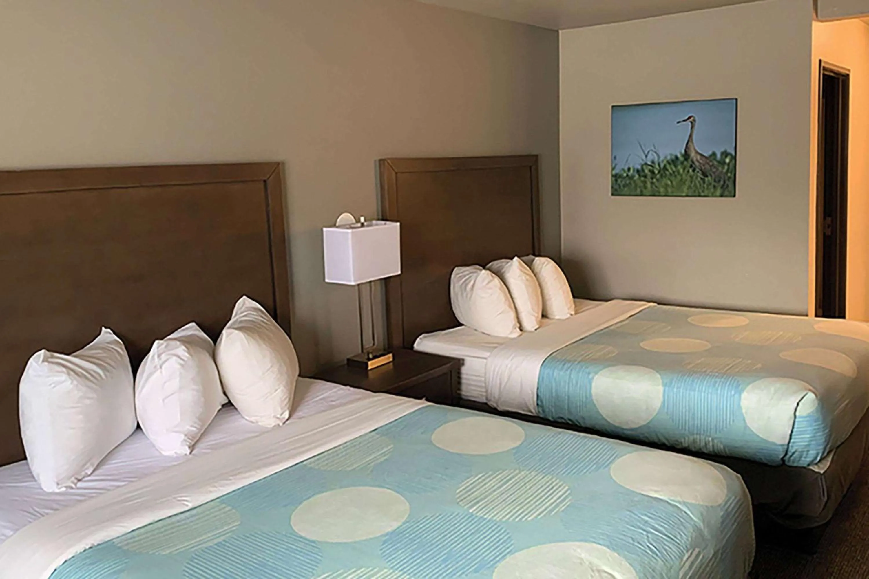 Photo of the whole room, Bed in Sandhill Inn & Suites