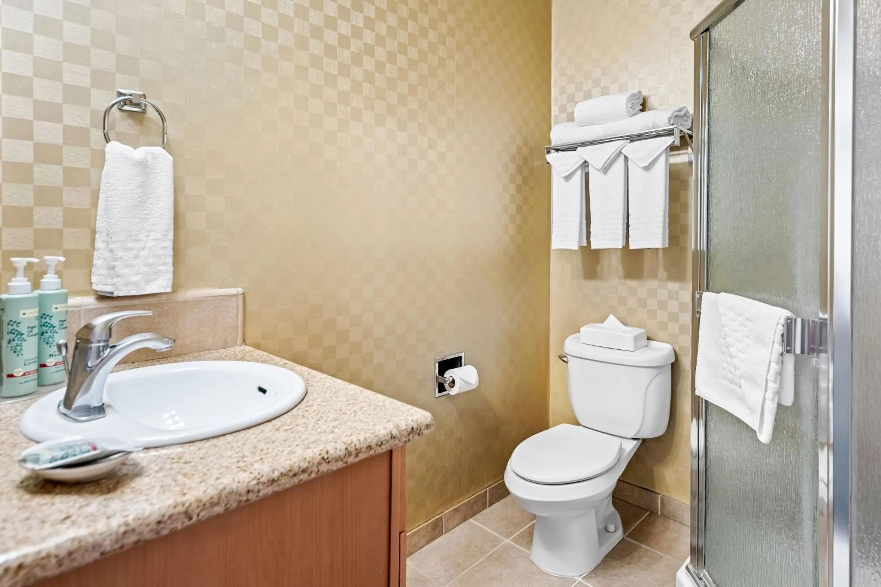 Shower in Best Western De Anza Inn