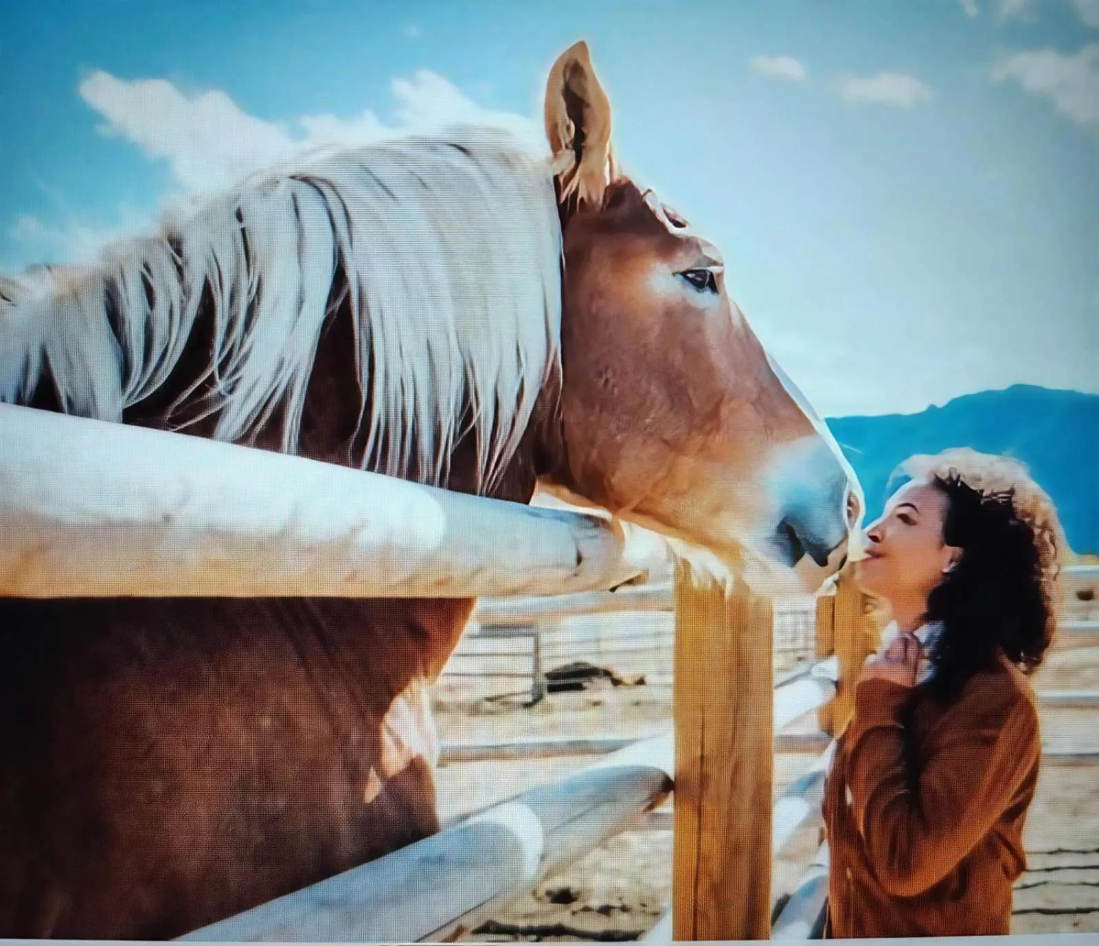 Horse-riding in Apart hotel M S KATUNJANIN