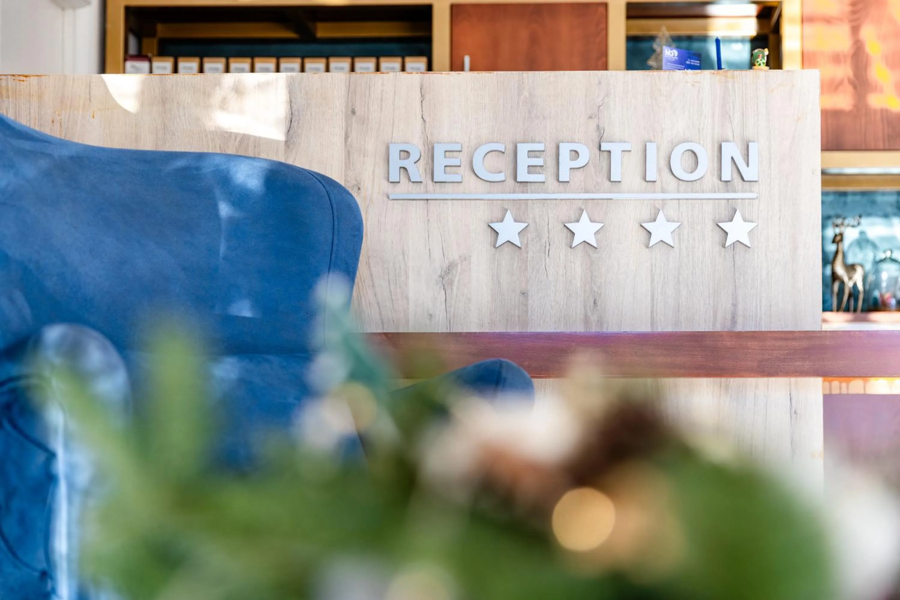 Day in Apart hotel M S KATUNJANIN