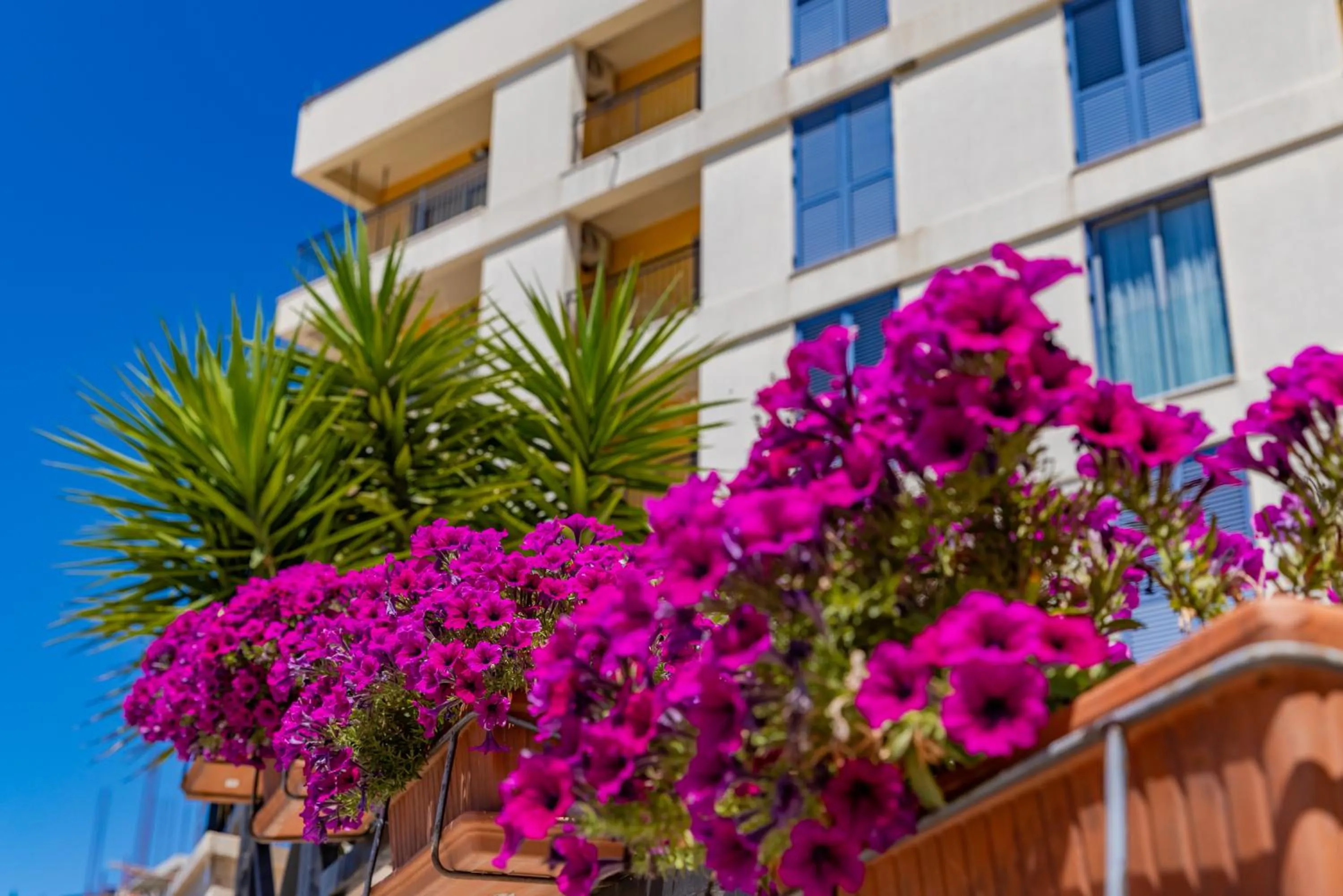 Property building in Apart hotel M S KATUNJANIN