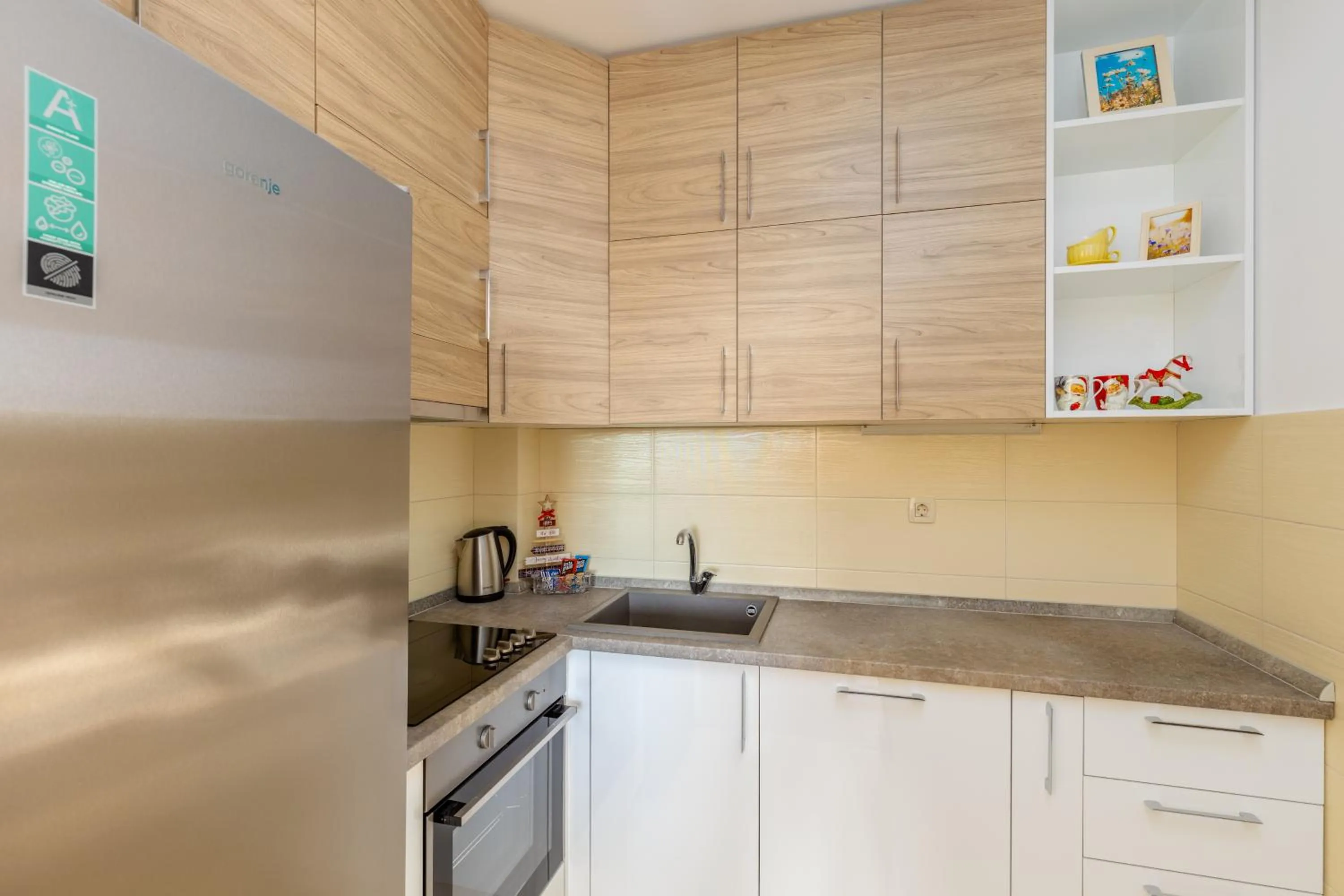 Kitchen or kitchenette in Apart hotel M S KATUNJANIN