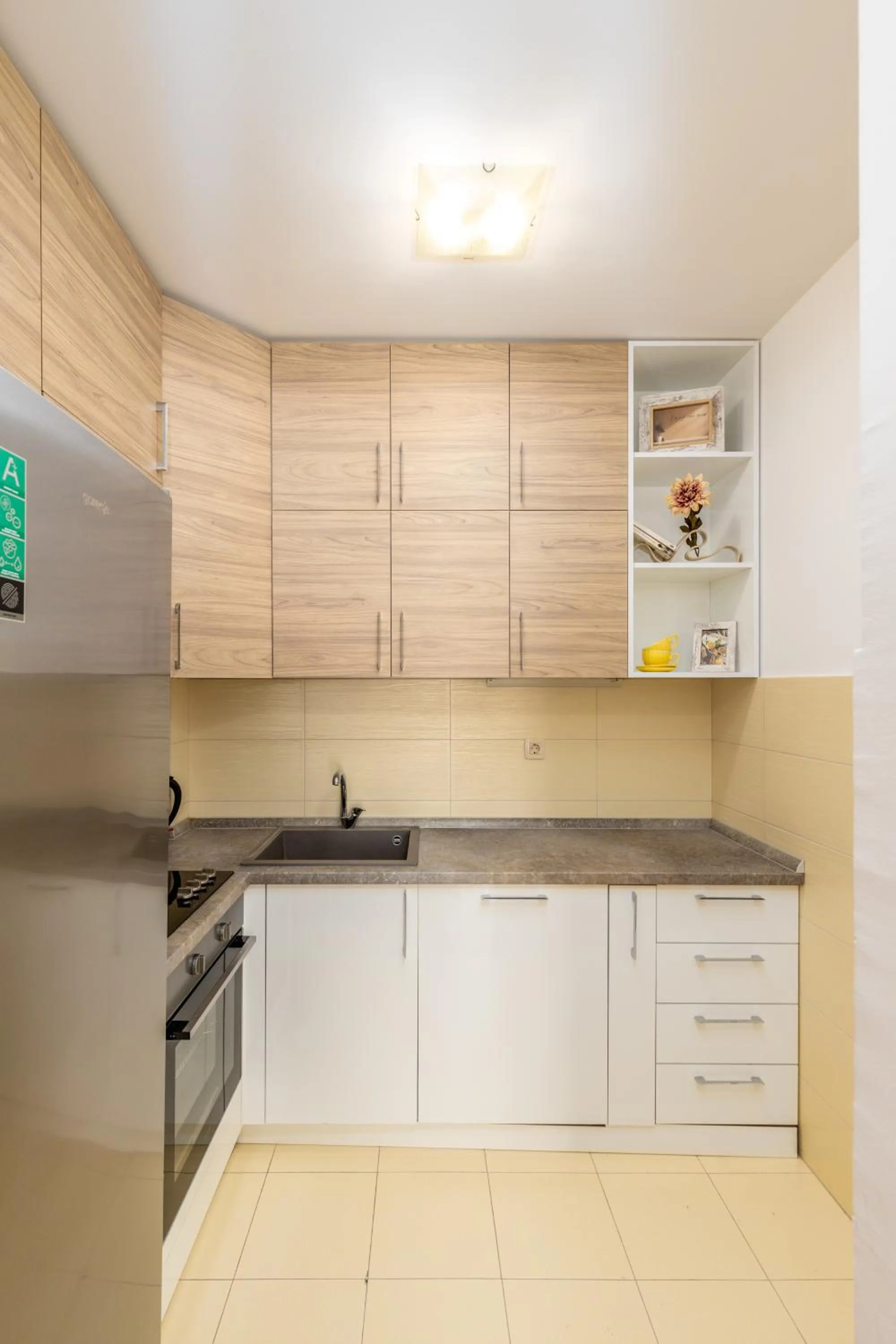 Kitchen or kitchenette in Apart hotel M S KATUNJANIN