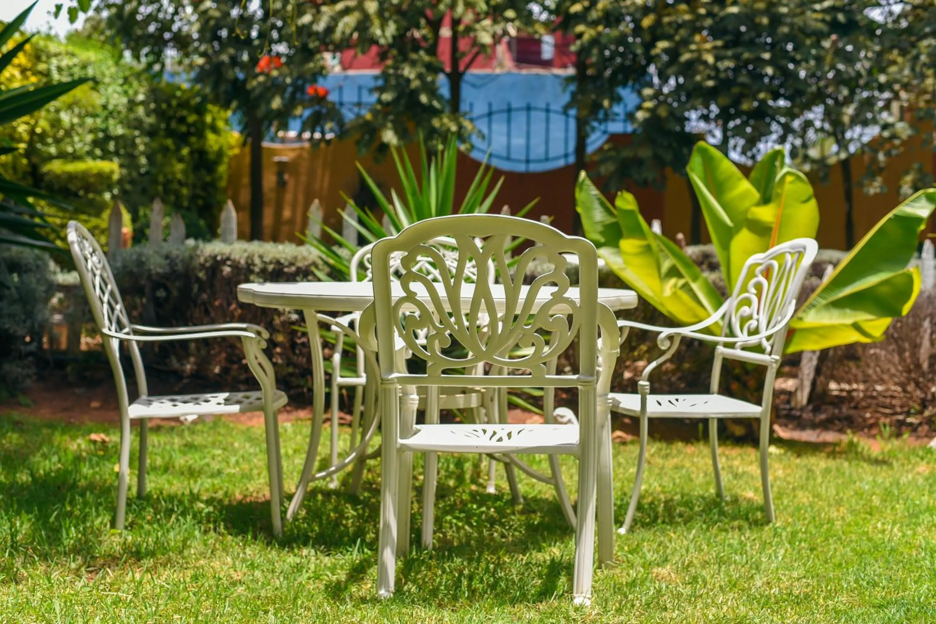 Garden in Falcon Heights Hotel