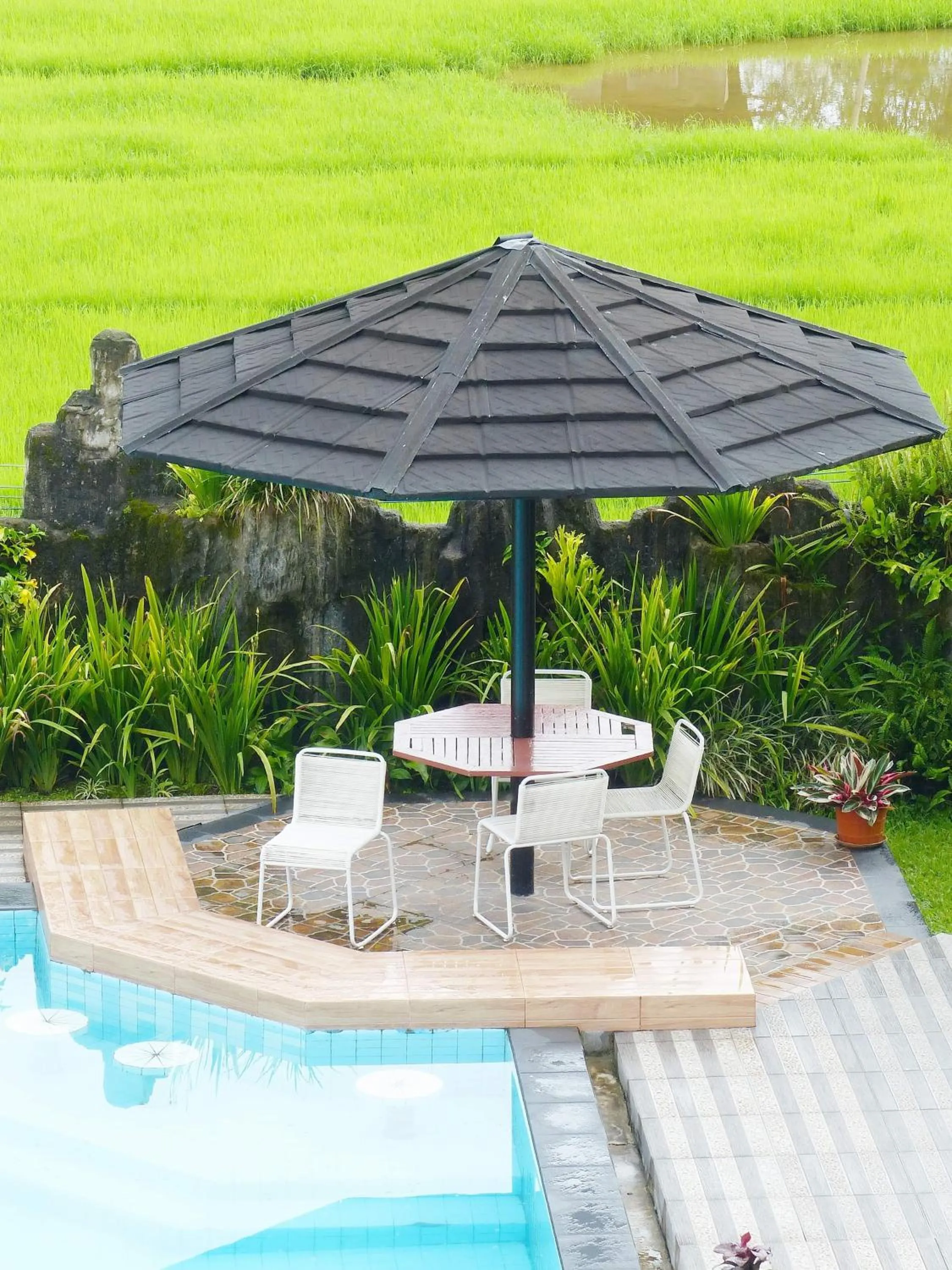 Restaurant/places to eat in Toraja Torsina Hotel