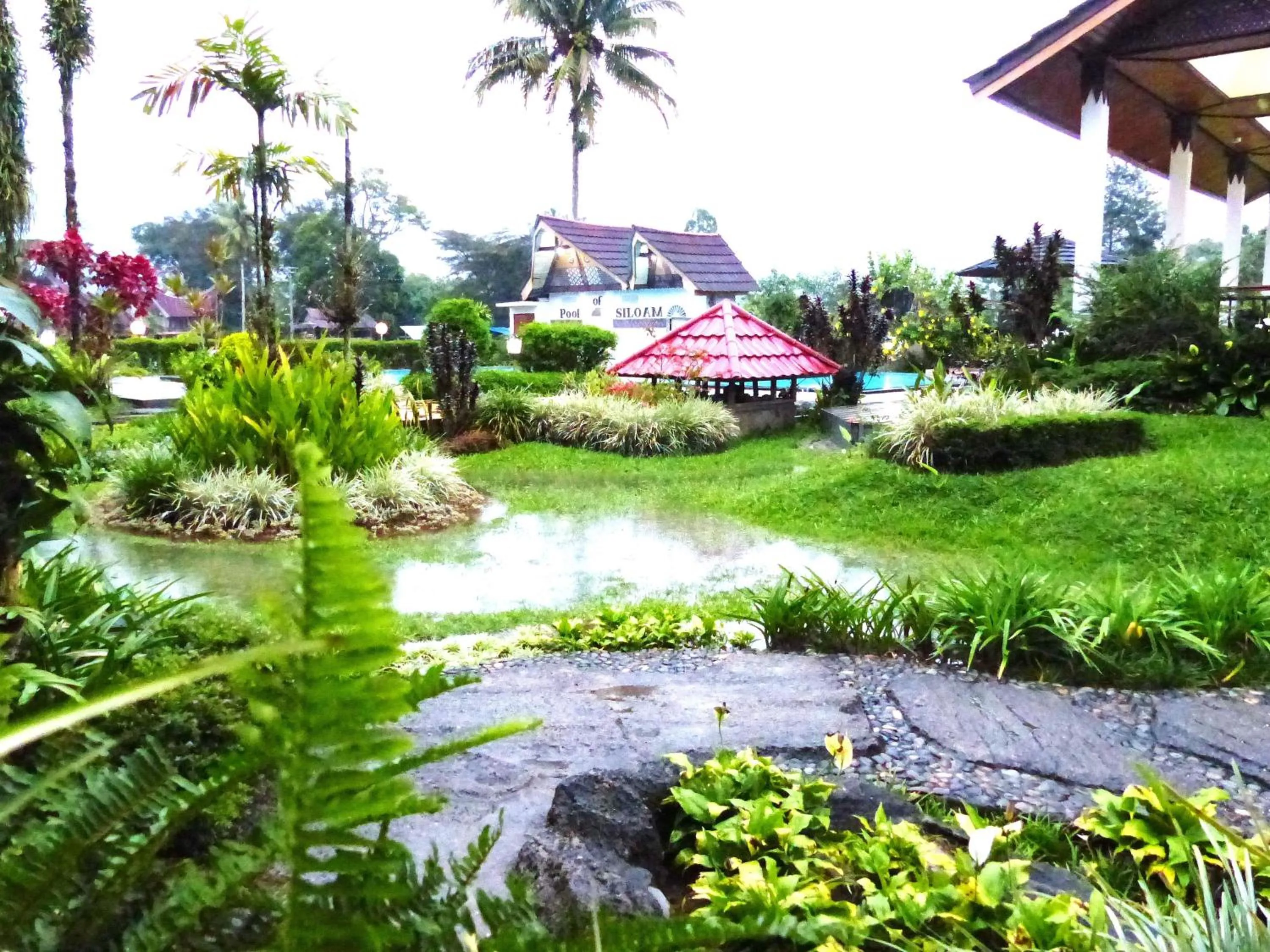 Swimming pool in Toraja Torsina Hotel