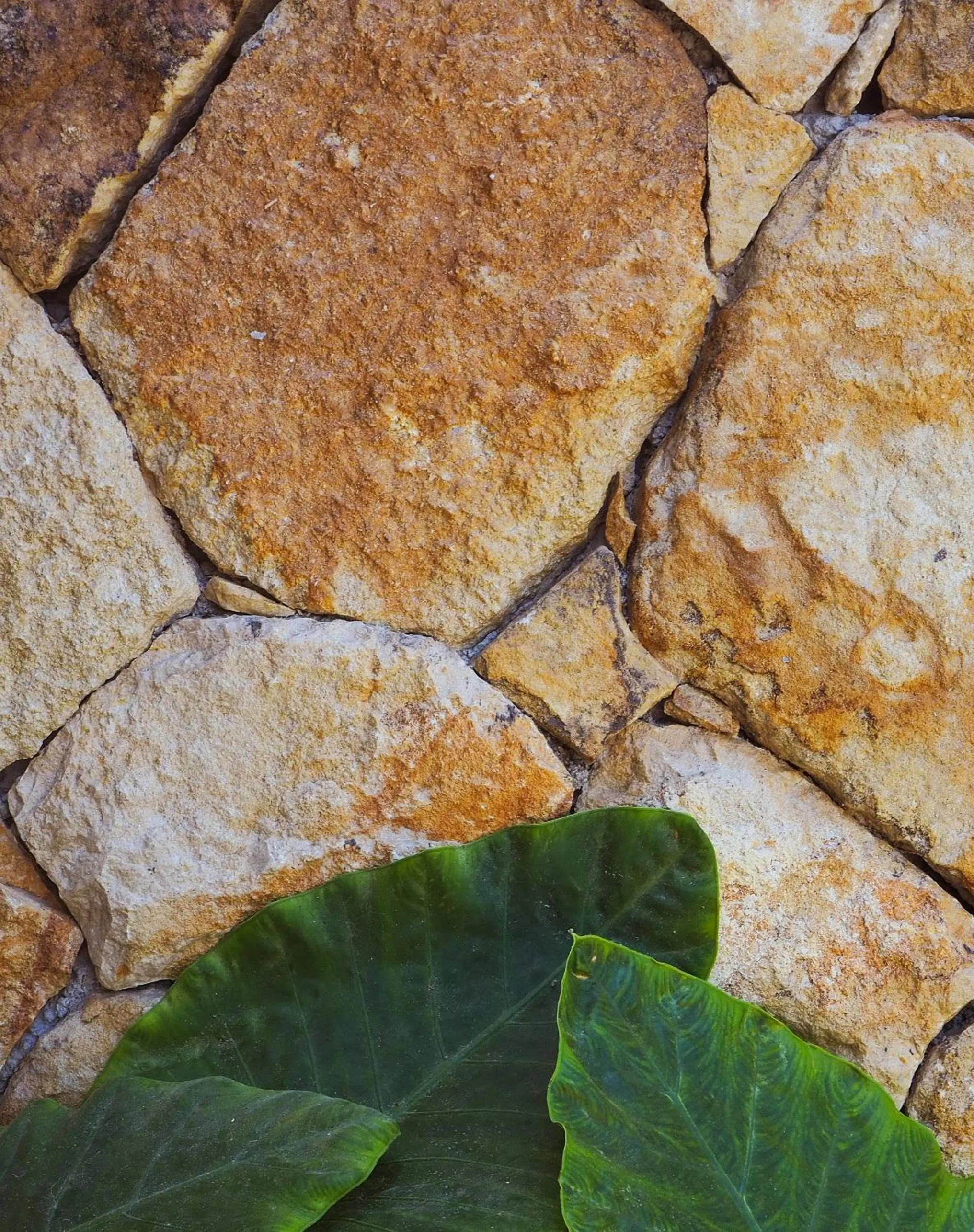 Decorative detail in Suku Lifestyle Hotel & Villas