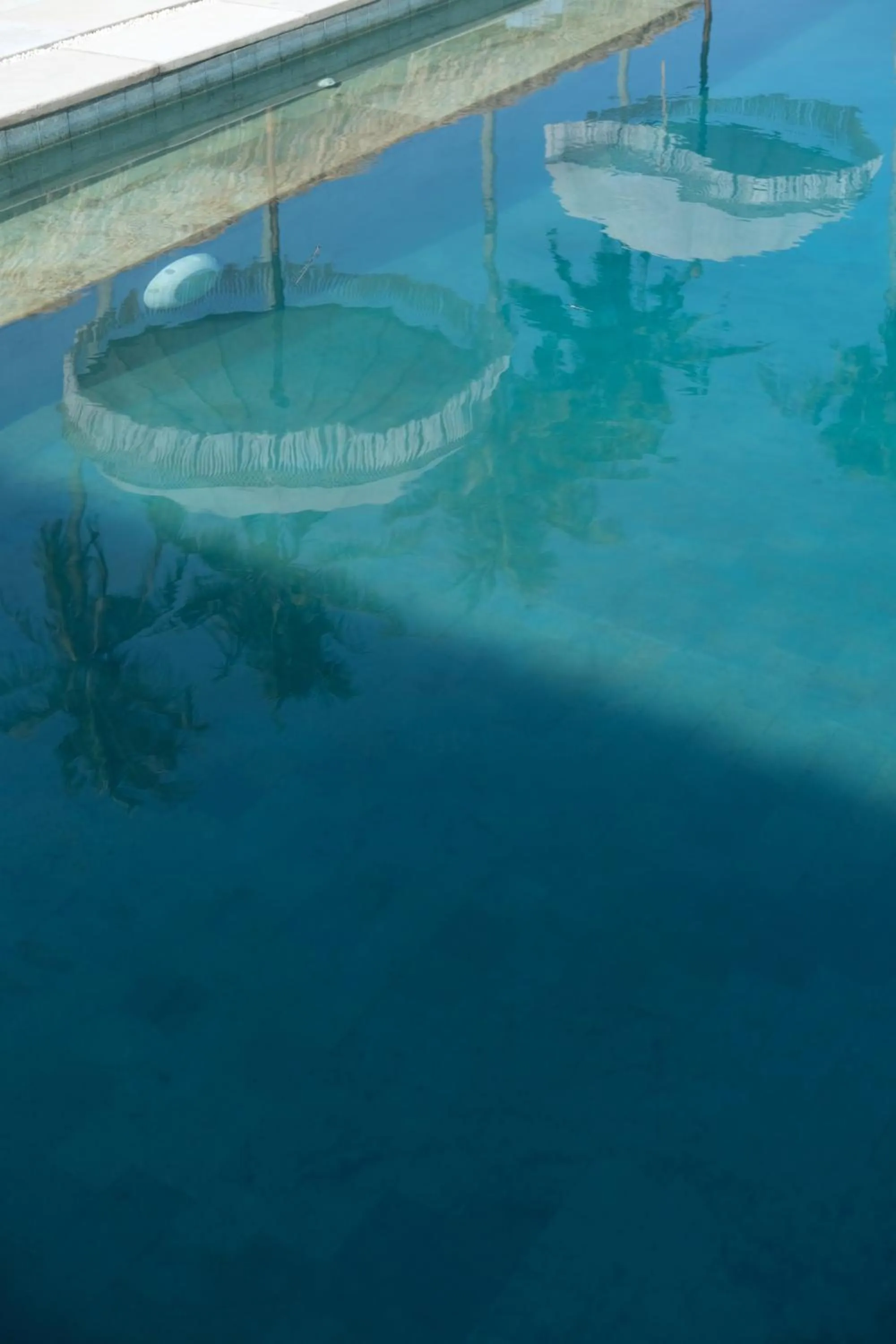 Swimming pool in Suku Lifestyle Hotel & Villas