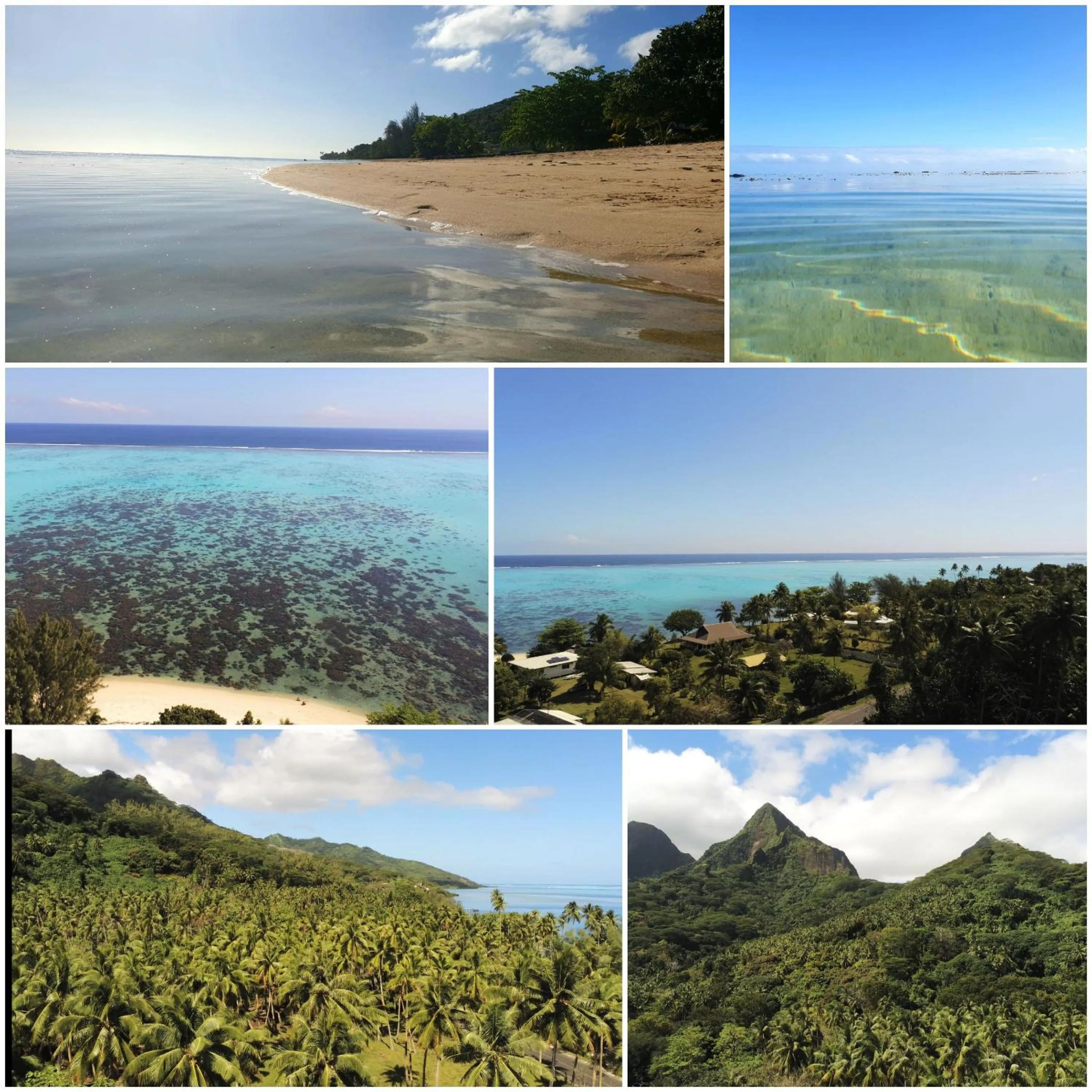 Natural landscape in Residence Vainau Moorea