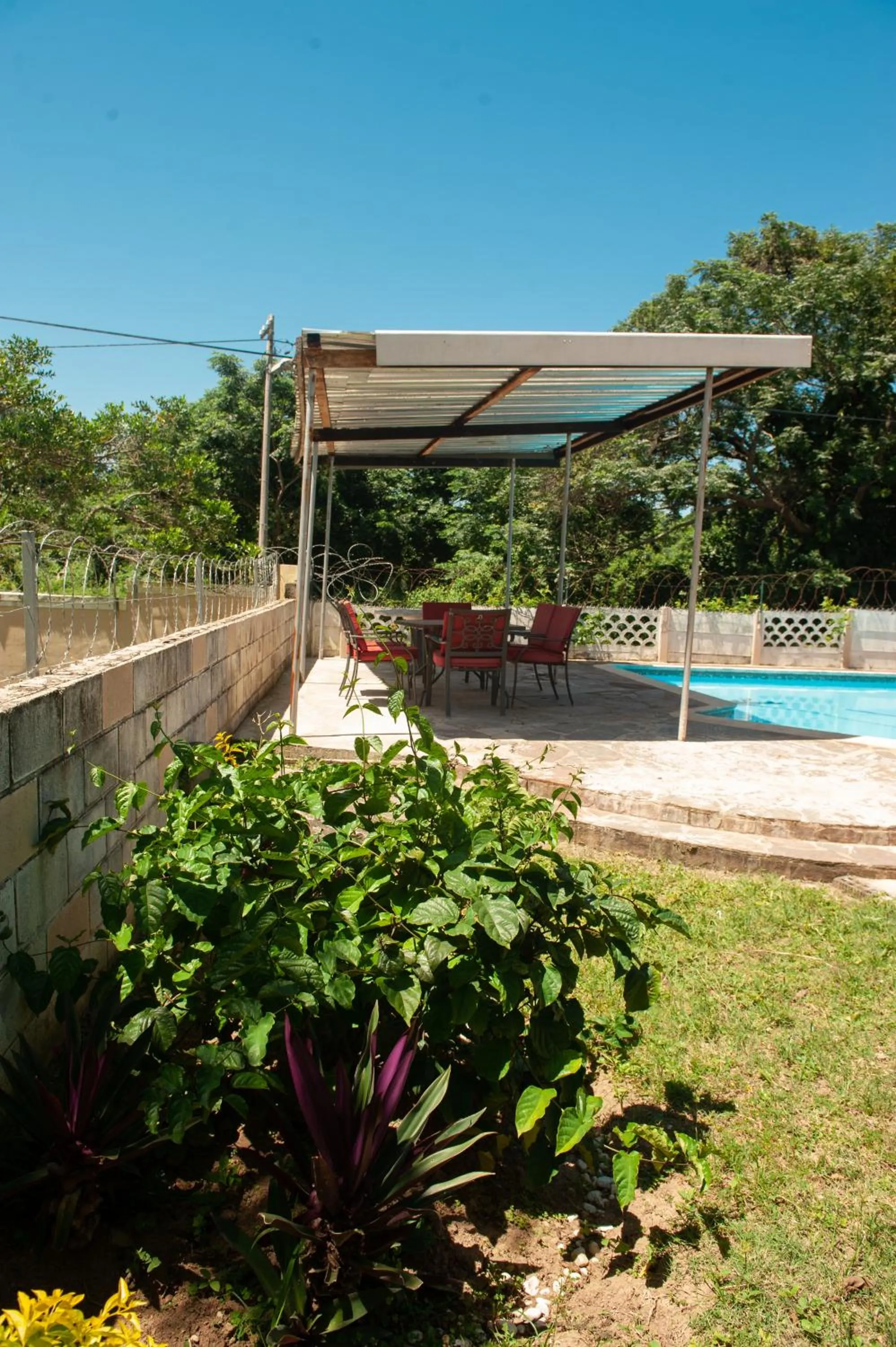 Garden in Nkosazana Guest House